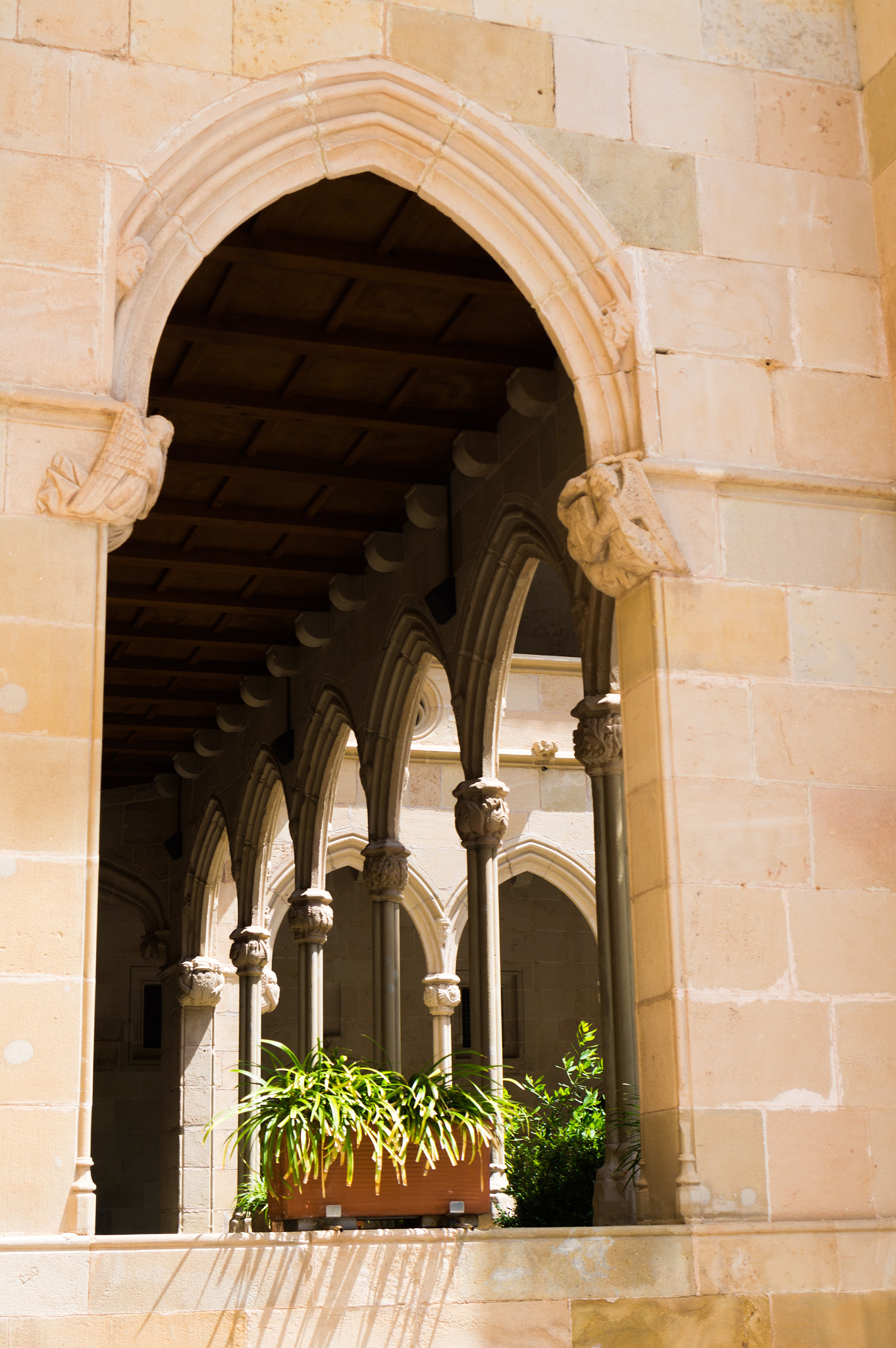 Sony E 35mm F1.8 OSS sample photo. Spain. montserrat. photography