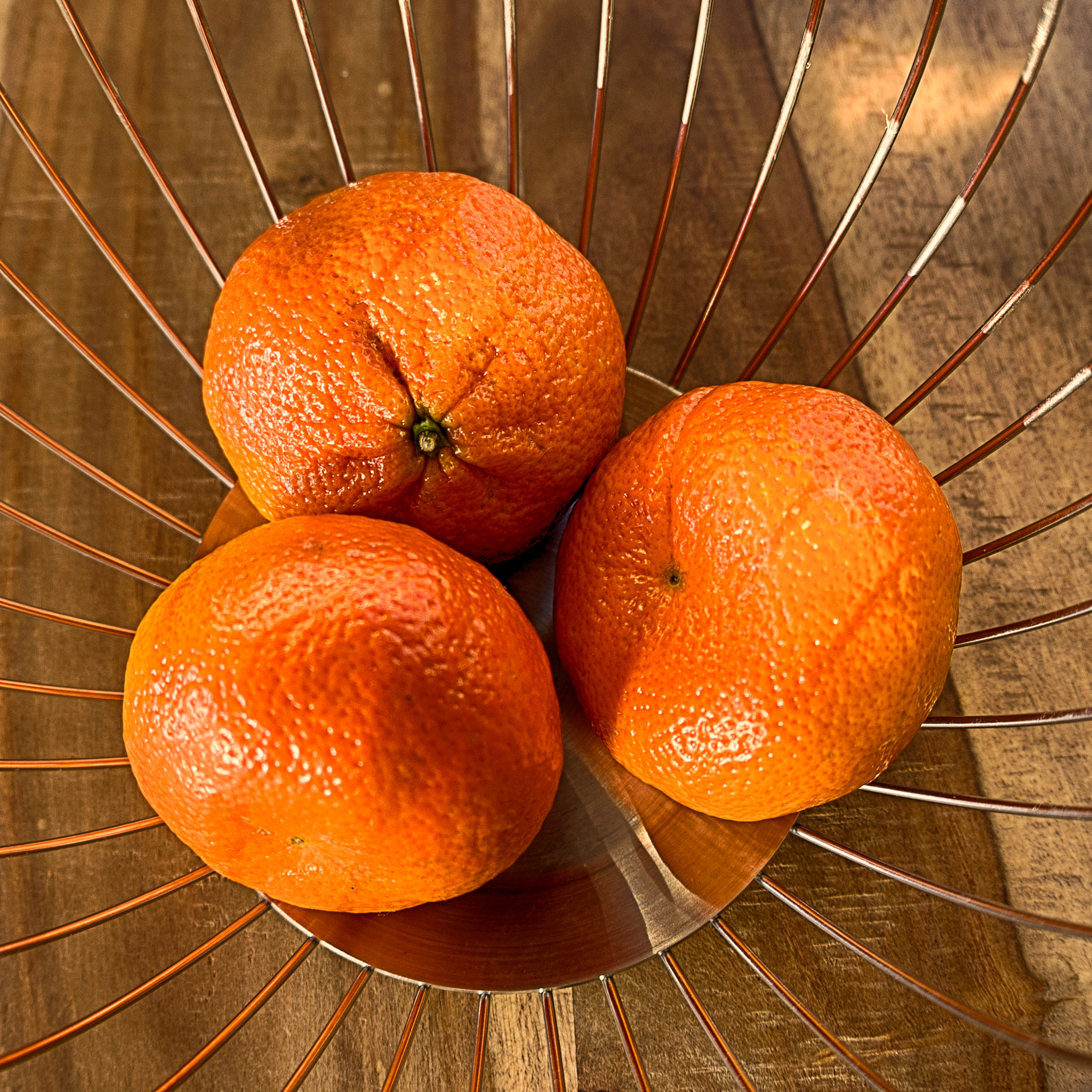 Nikon D610 + Sigma 15mm F2.8 EX DG Diagonal Fisheye sample photo. To be an orange orange photography