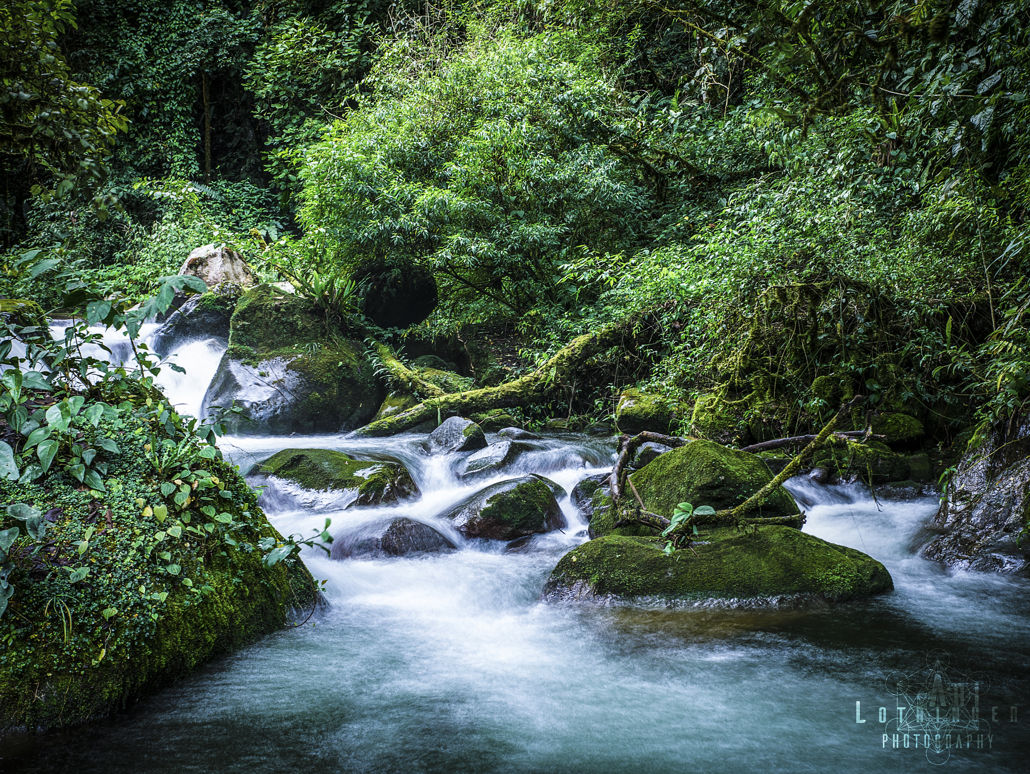 Panasonic Lumix DMC-G7 + Panasonic Leica DG Summilux 25mm F1.4 II ASPH sample photo. Rio talari photography