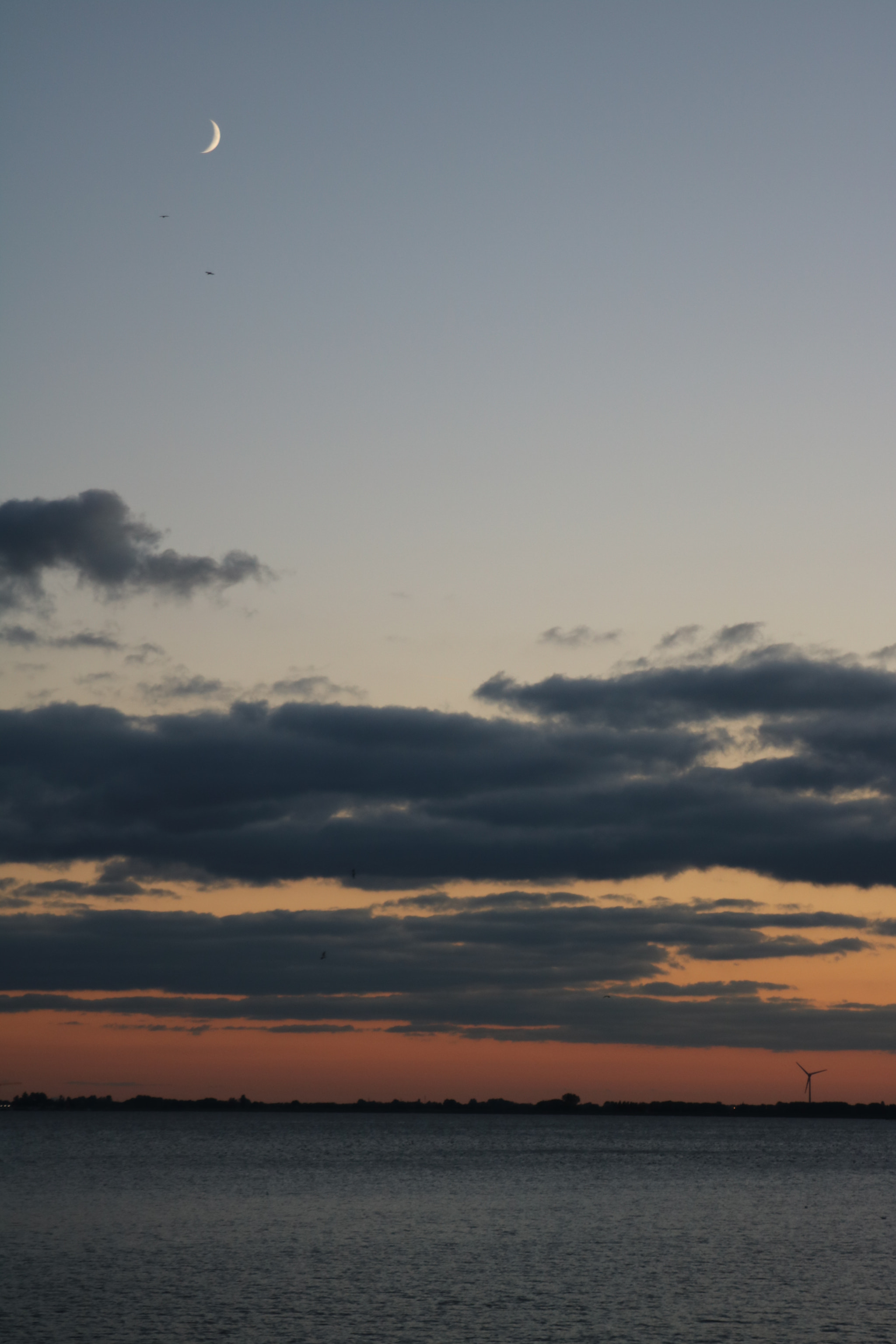 Canon EF 28-105mm f/3.5-4.5 USM sample photo. Zt photography