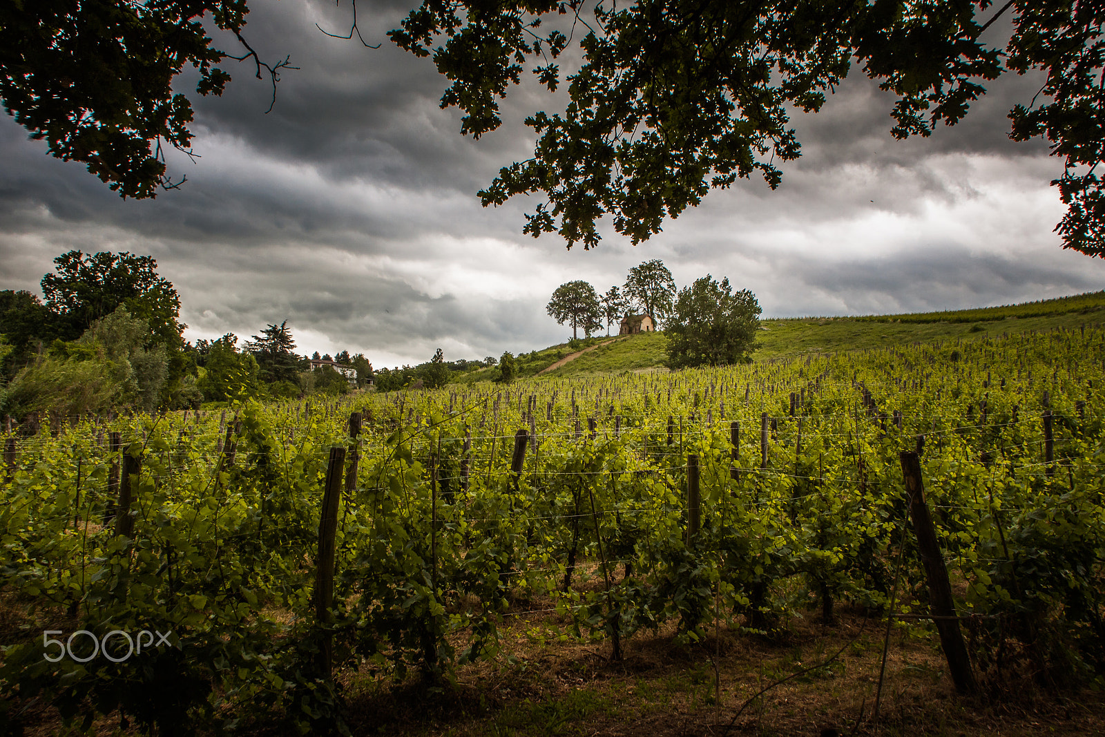 Canon EOS 50D sample photo. The hill photography