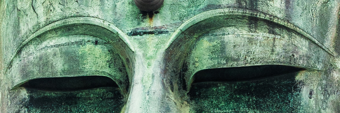 AF Zoom-Nikkor 28-85mm f/3.5-4.5 sample photo. Daibutsu eyes photography