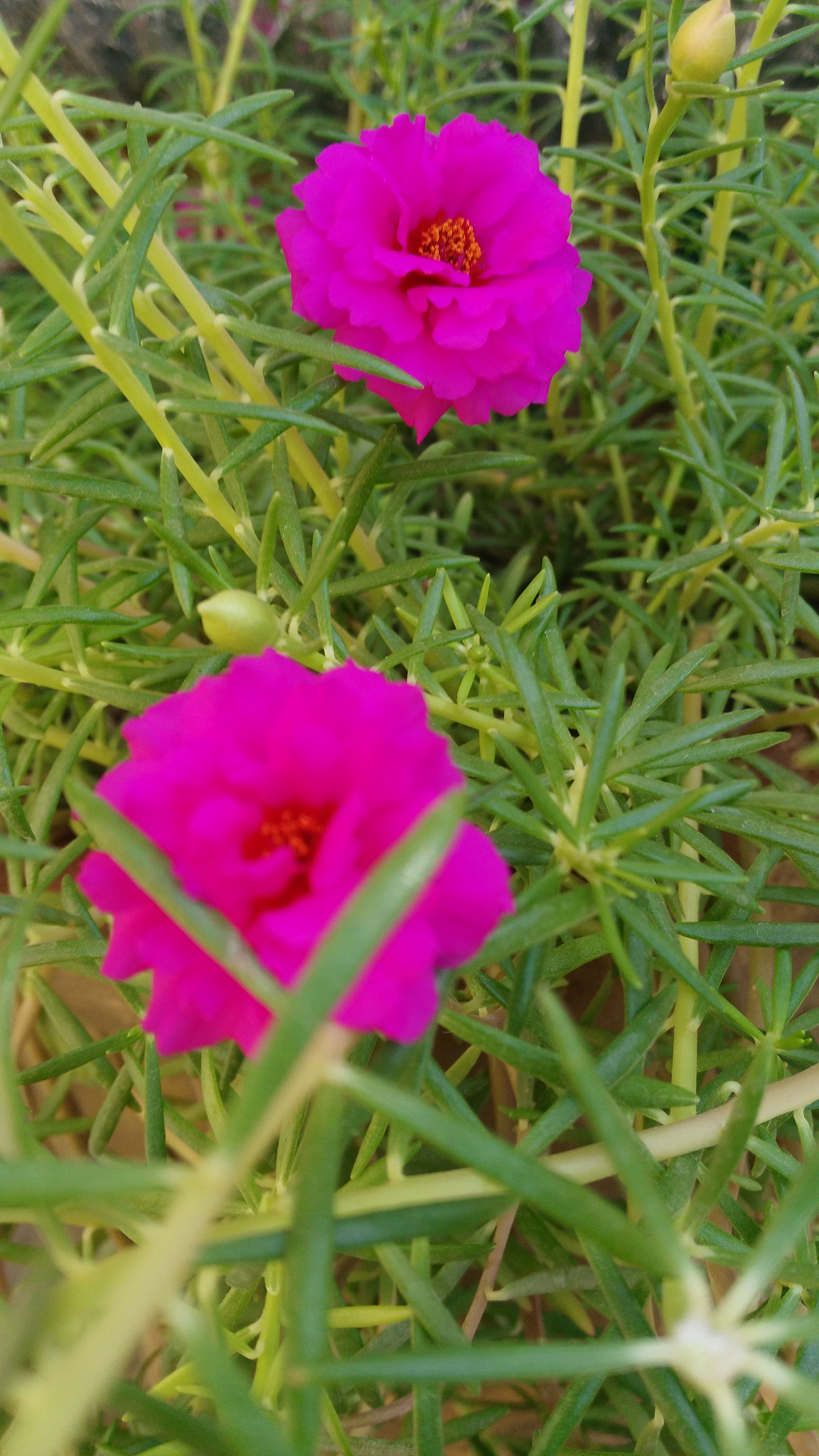 HUAWEI G7-L11 sample photo