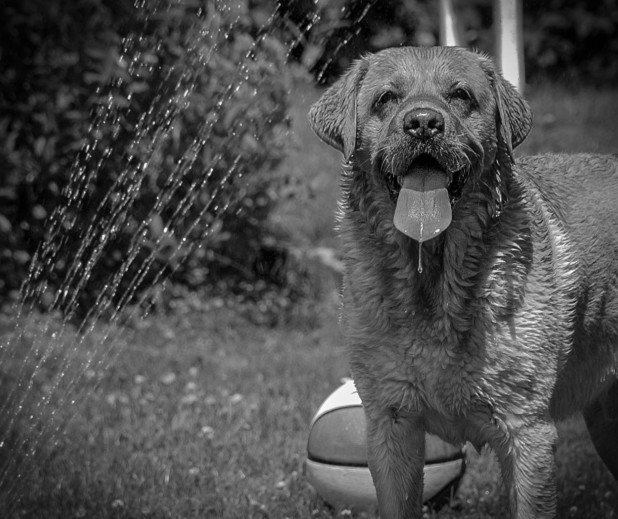 Nikon D70 sample photo. Untitled photography
