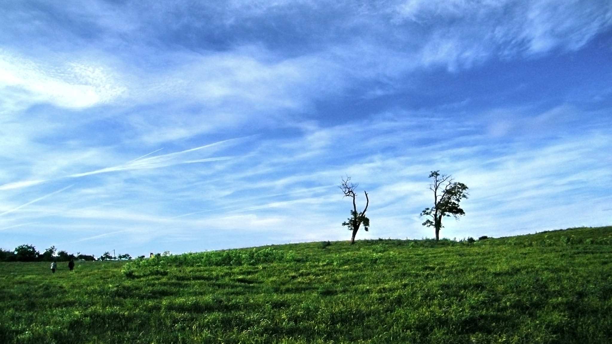 Fujifilm FinePix S2000HD sample photo. Winxp photography