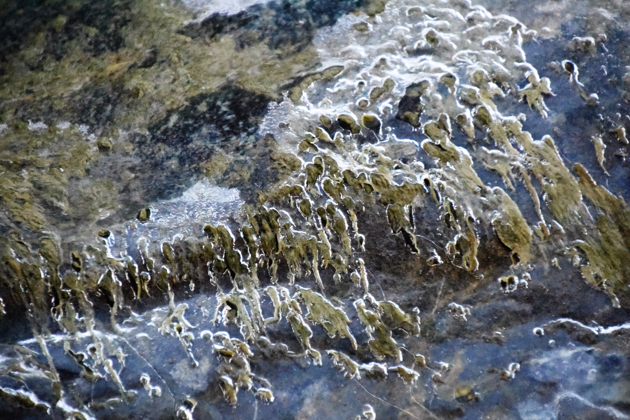Nikon D810 sample photo. "ice on green rock" photography
