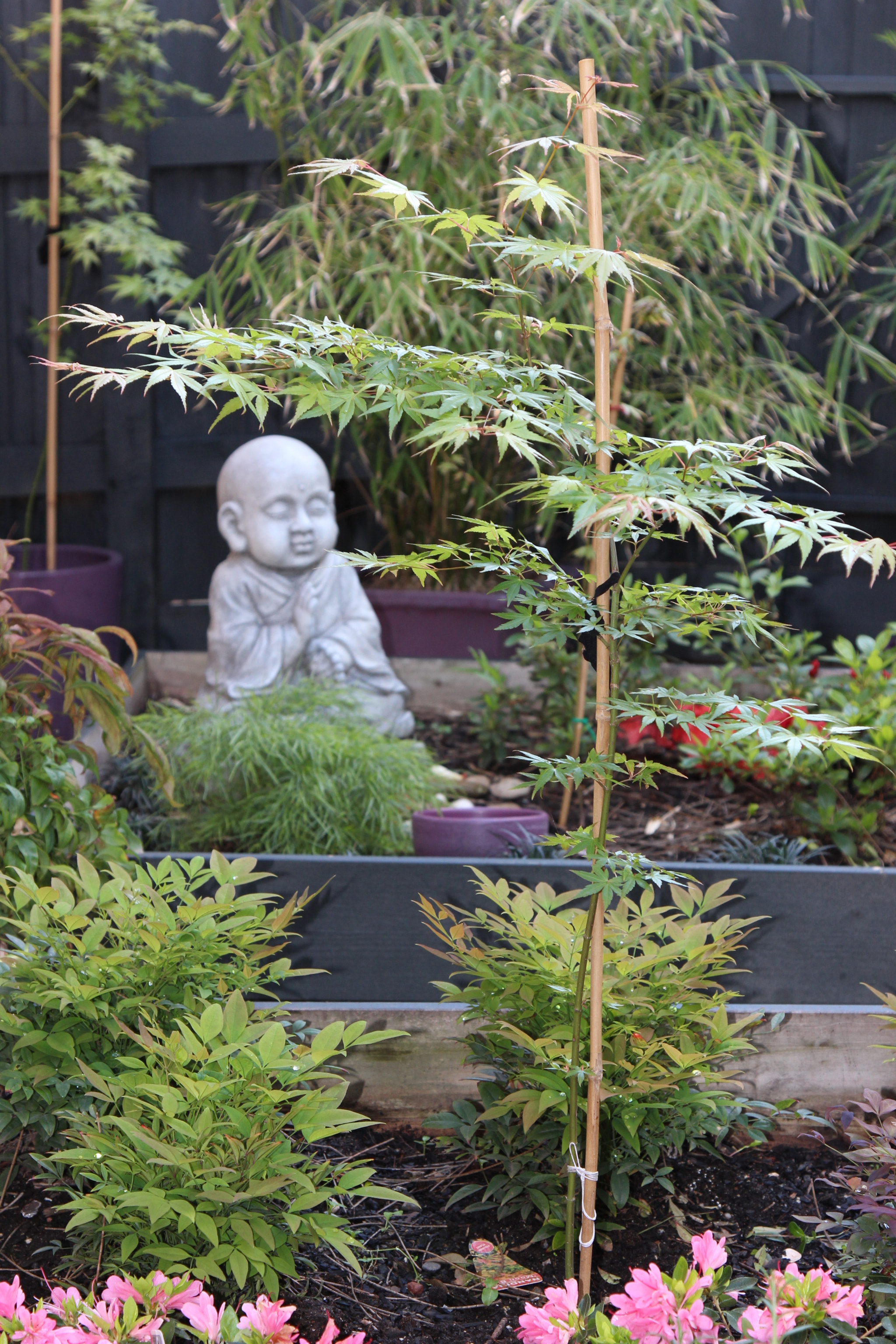 Canon EOS 600D (Rebel EOS T3i / EOS Kiss X5) sample photo. Trishes garden photography