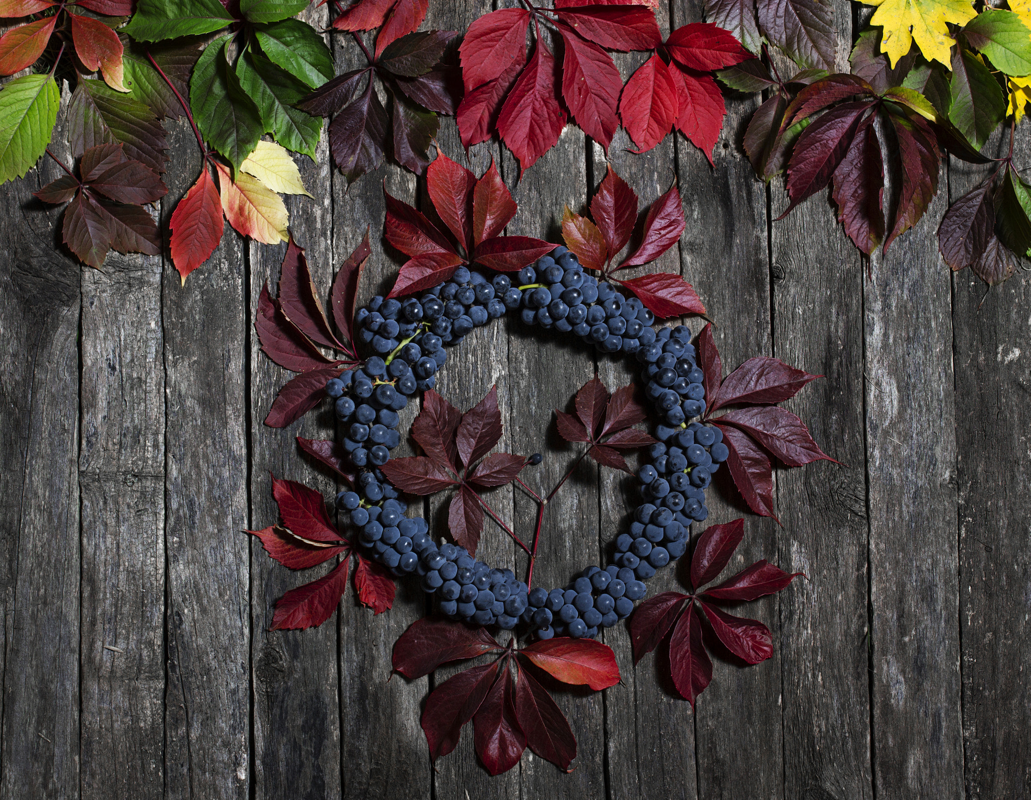 Canon EOS 550D (EOS Rebel T2i / EOS Kiss X4) sample photo. Autumn leaves of wild grapes and berries on old wooden cracked b photography