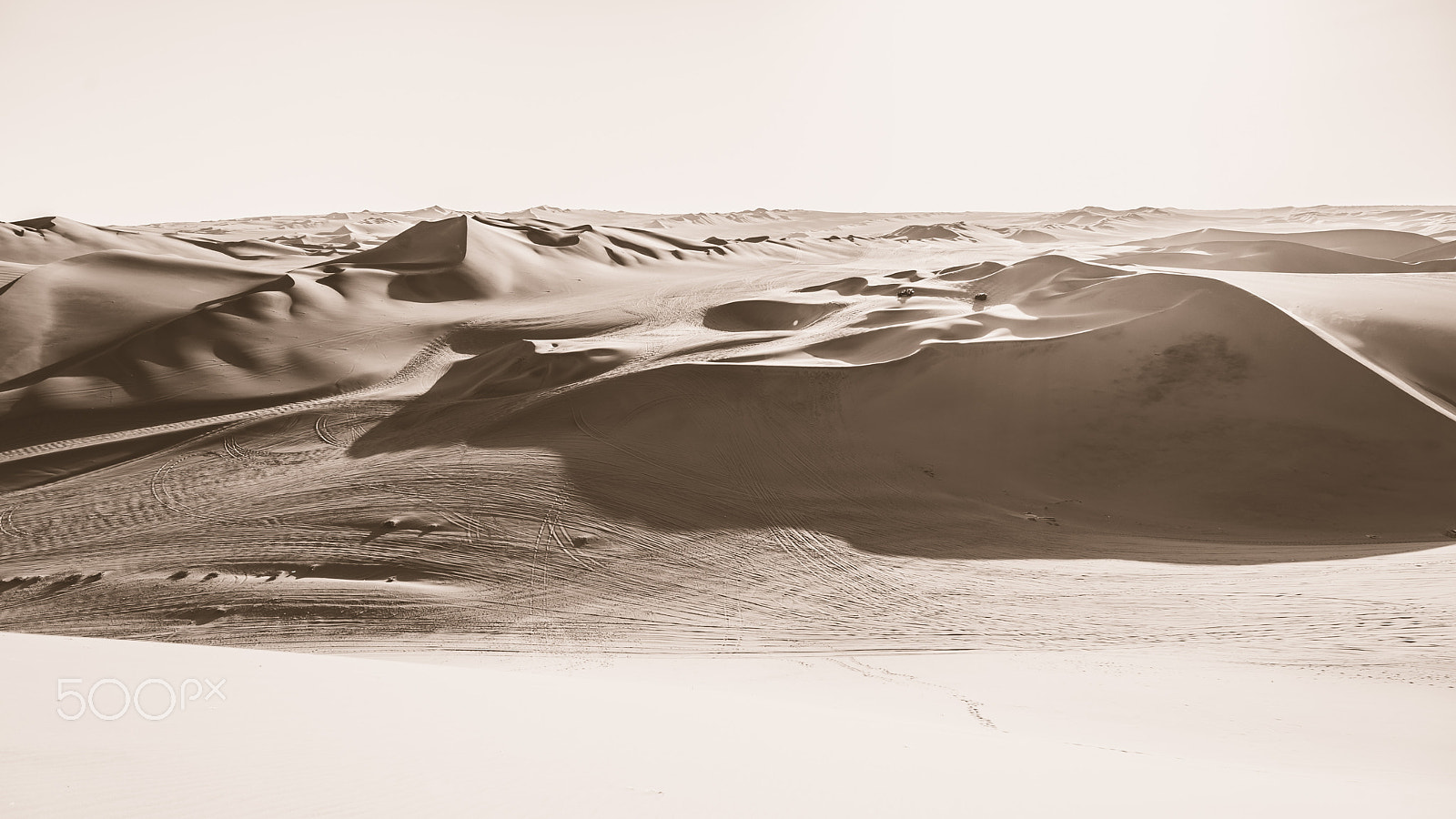 Nikon D610 sample photo. Huacachina photography