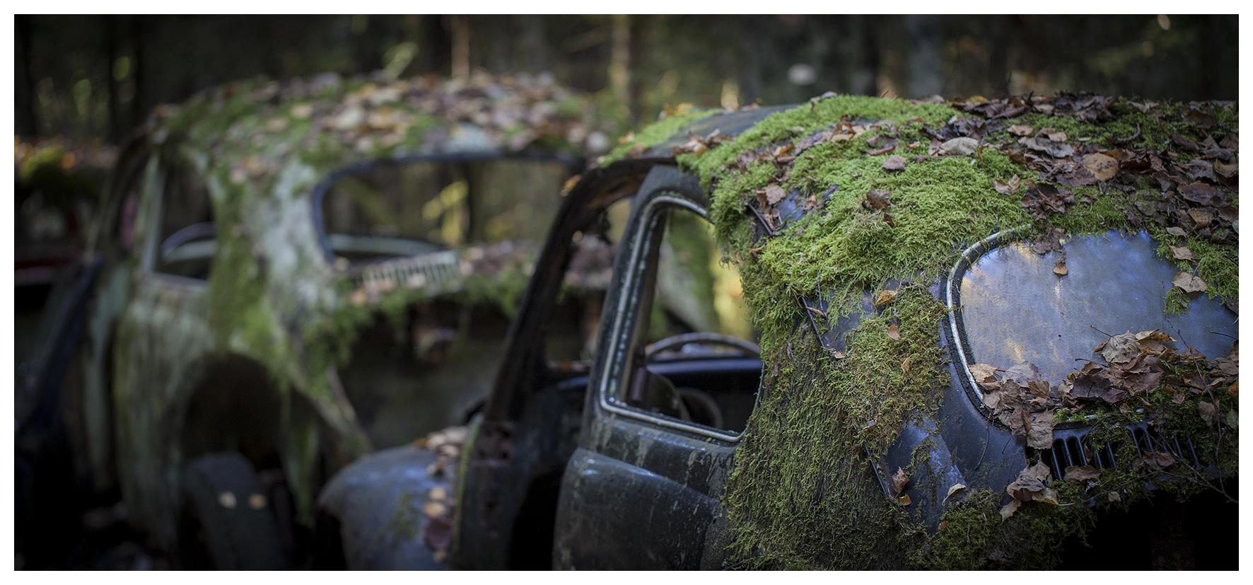 Canon EF 100mm F2.8L Macro IS USM sample photo. Båstnäs car junk yard photography