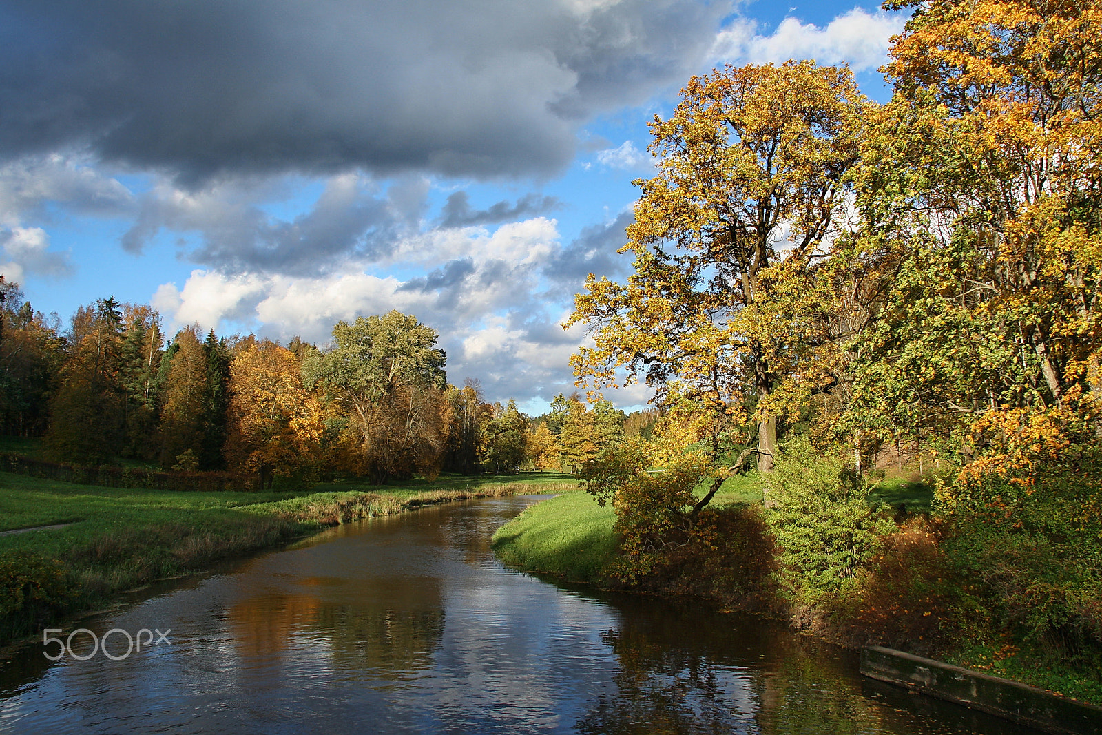 Canon EOS 1000D (EOS Digital Rebel XS / EOS Kiss F) sample photo. Golden autumn photography