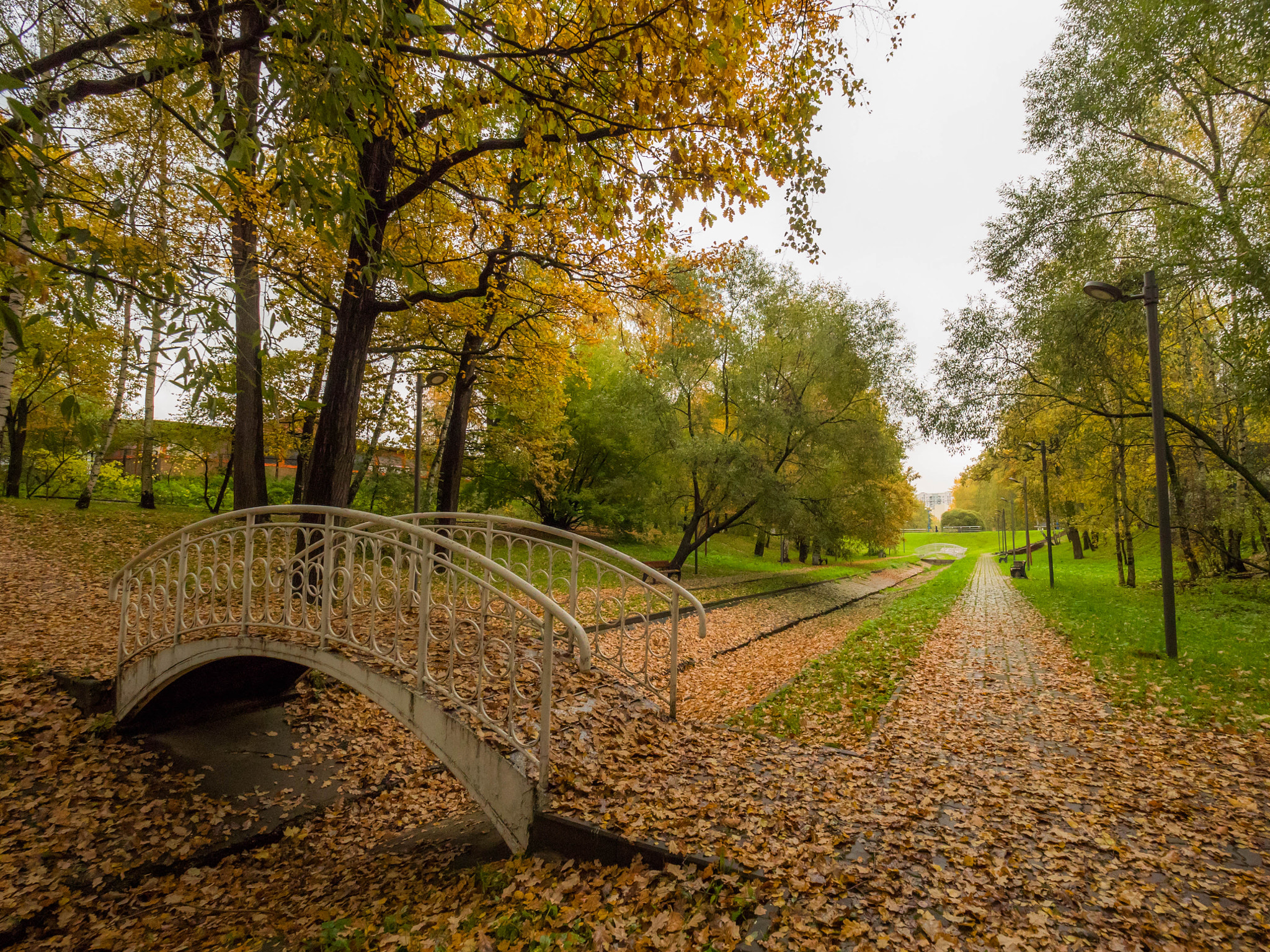 Panasonic Lumix DMC-GH4 + Olympus M.Zuiko Digital ED 7-14mm F2.8 PRO sample photo. Bridge over orange stream photography