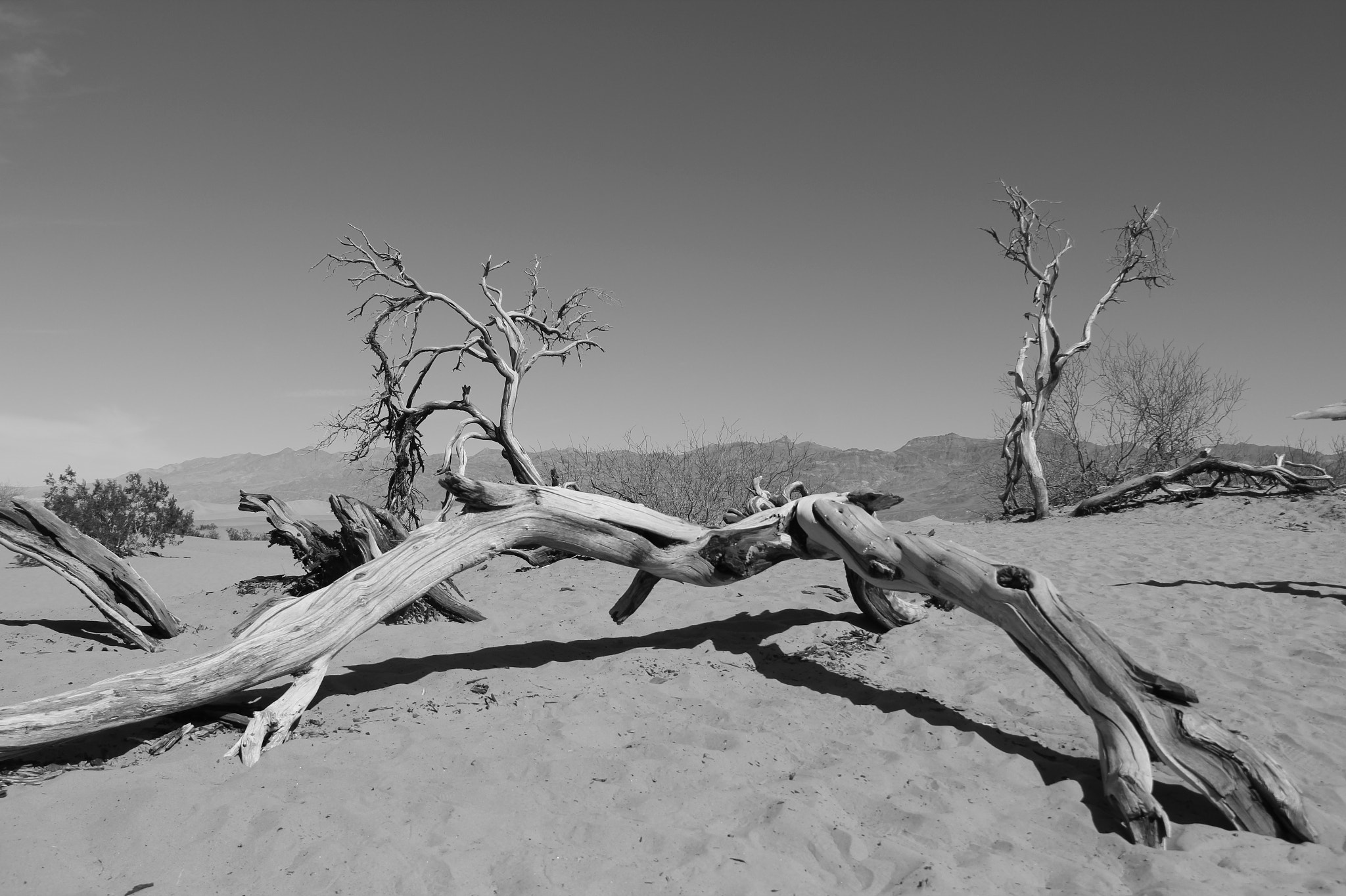 Canon EF-S 18-200mm F3.5-5.6 IS sample photo. Lifeless in death valley photography