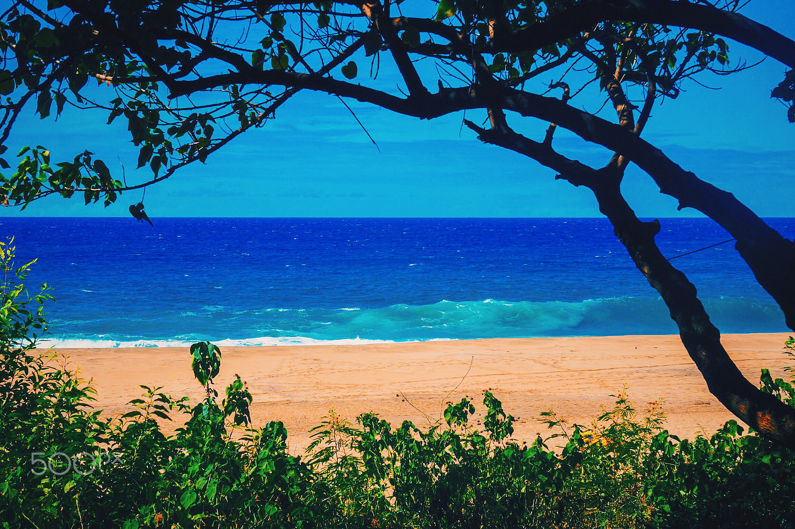 Sony E 55-210mm F4.5-6.3 OSS sample photo. "shangri-la", kalalau beach, kauai photography