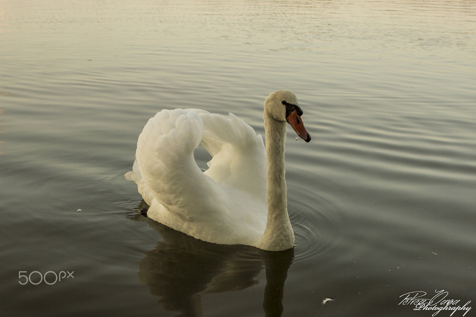 Canon EF 28-80mm f/3.5-5.6 sample photo