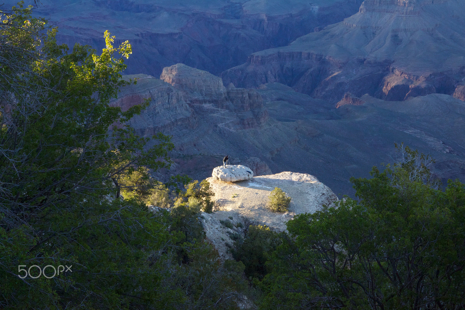 Canon EOS 50D + Canon EF 16-35mm F4L IS USM sample photo. Photographing the grand canyon photography