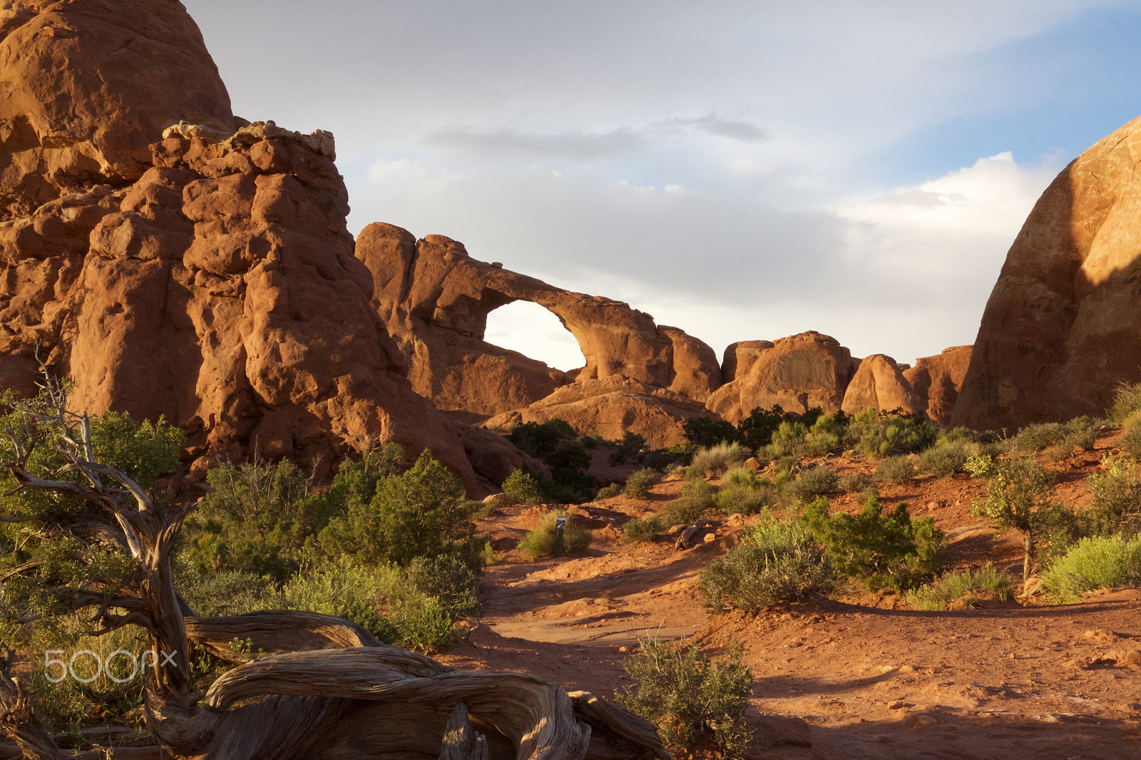 Canon EOS 50D + Canon EF 16-35mm F4L IS USM sample photo. Golden sunlight on arches national park photography