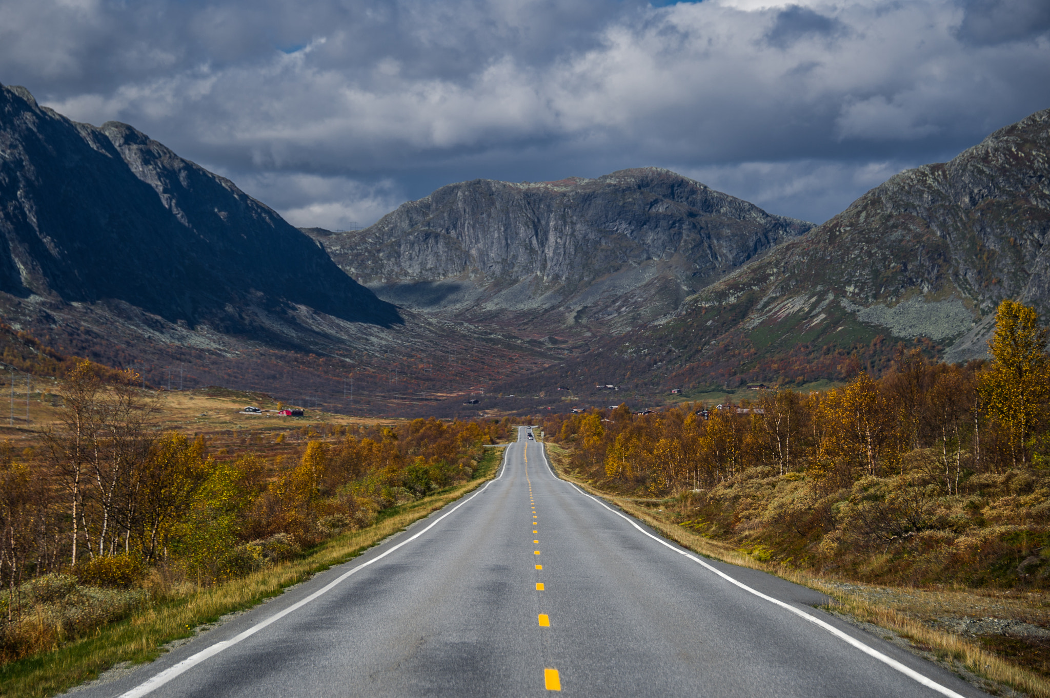 Nikon D3S sample photo. Driving into autumn photography