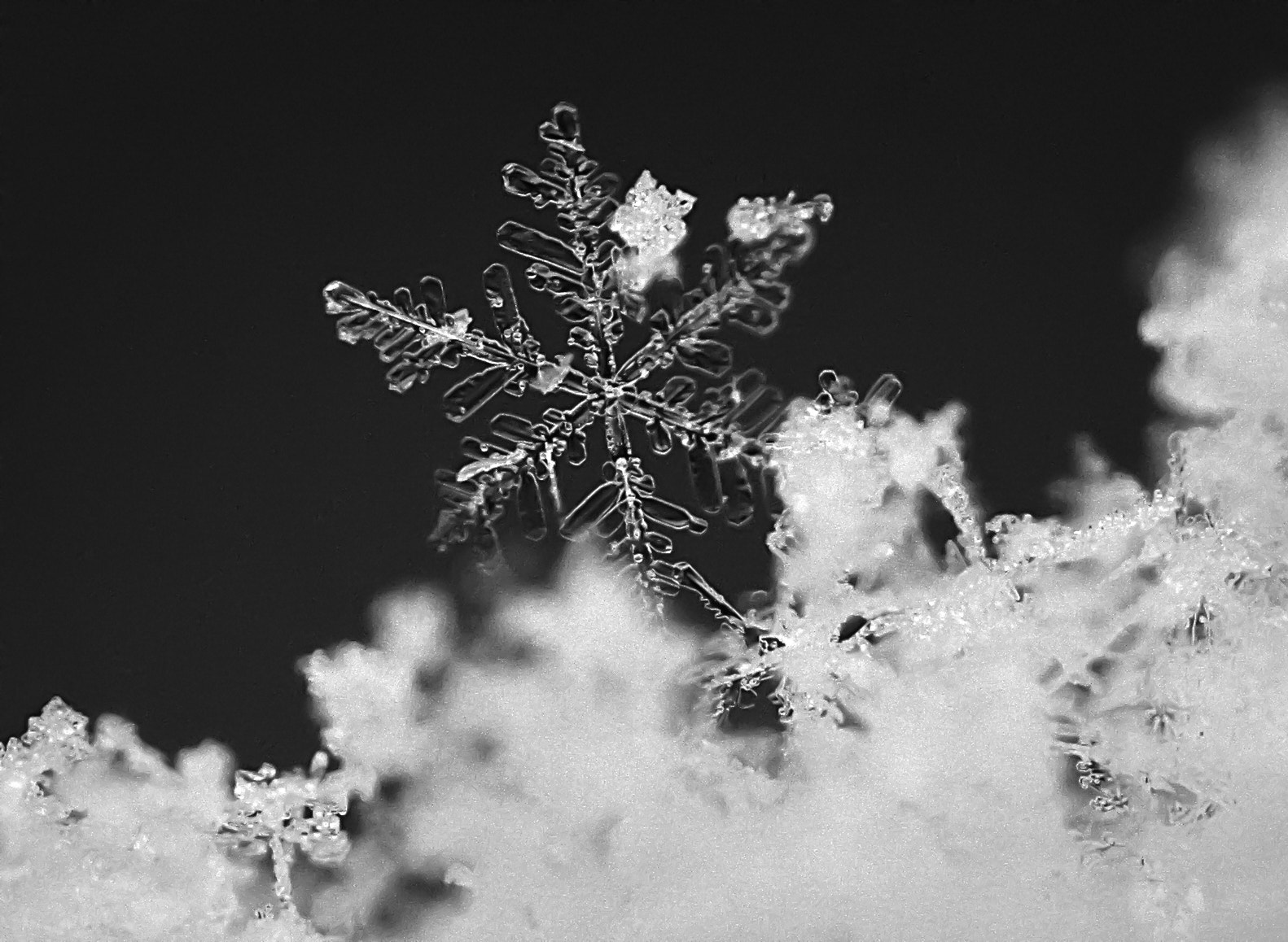 Canon EF 100mm F2.8L Macro IS USM sample photo. Snowflake close up photography