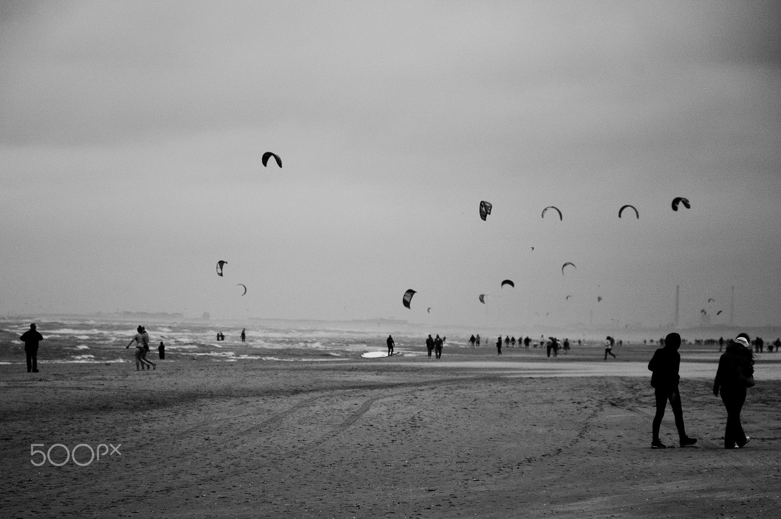 Nikon D50 sample photo. Strange birds strange humans photography
