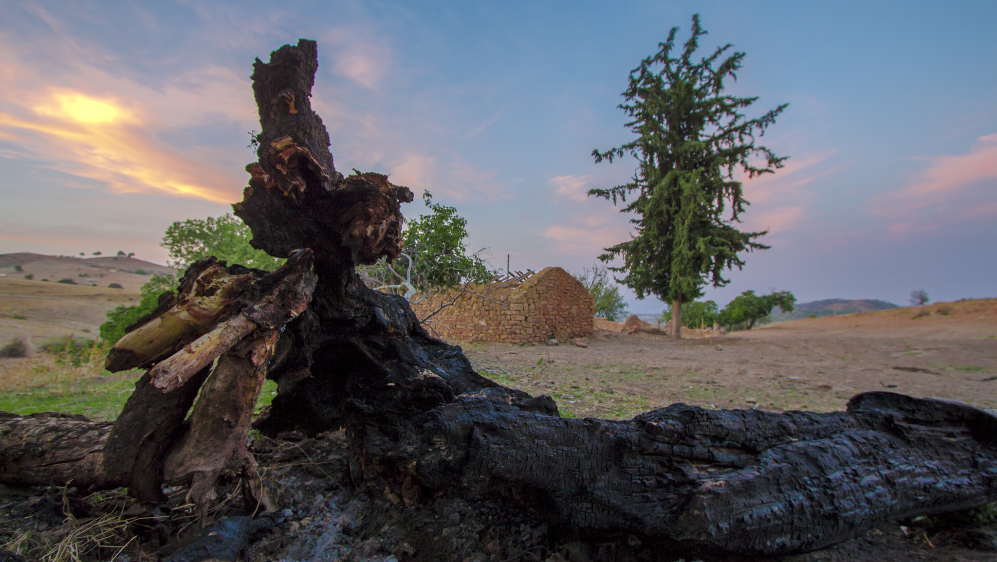 Canon EF-S 10-22mm F3.5-4.5 USM sample photo. Life and death photography