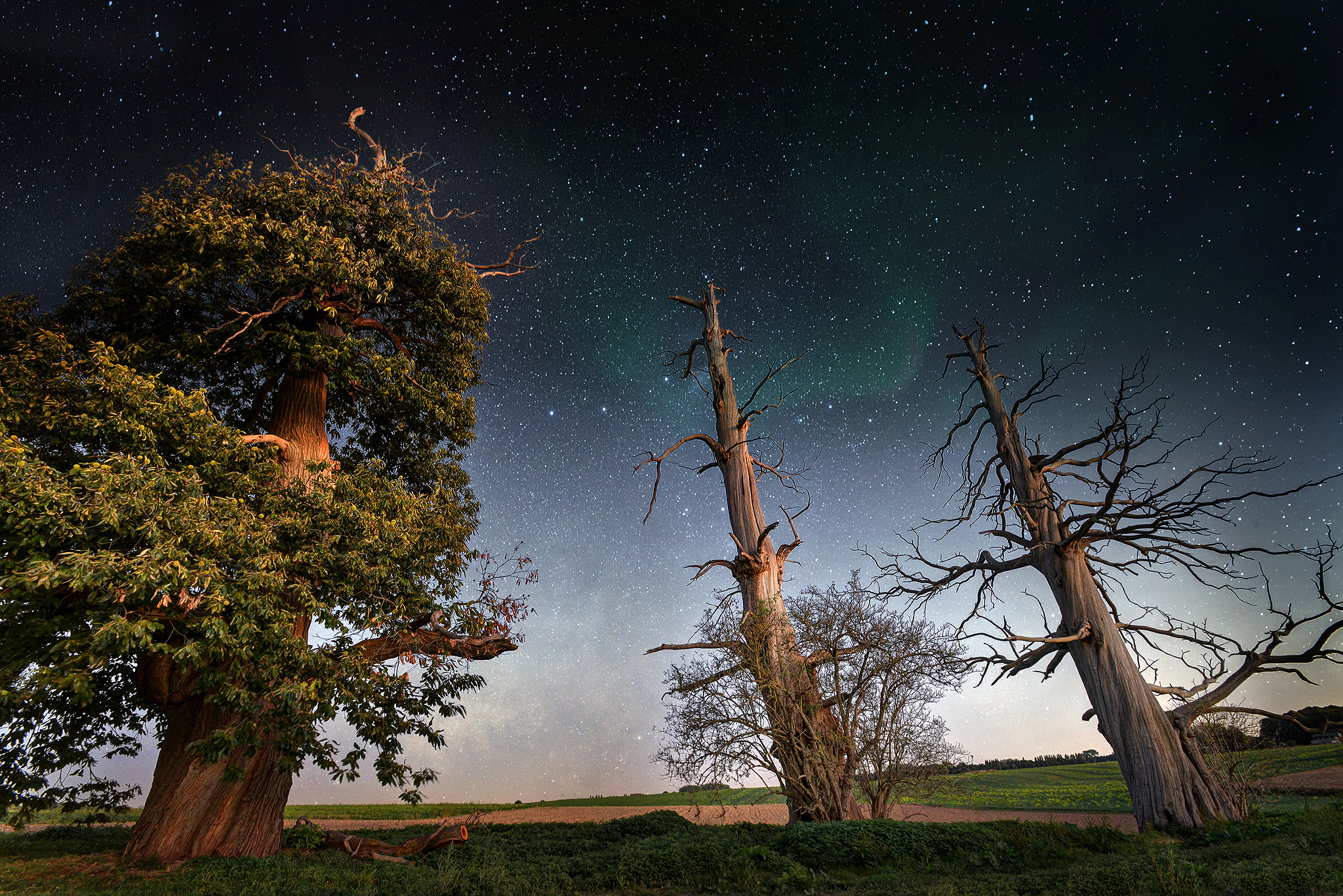 Nikon AF-S Nikkor 17-35mm F2.8D ED-IF sample photo. Hougoumont photography