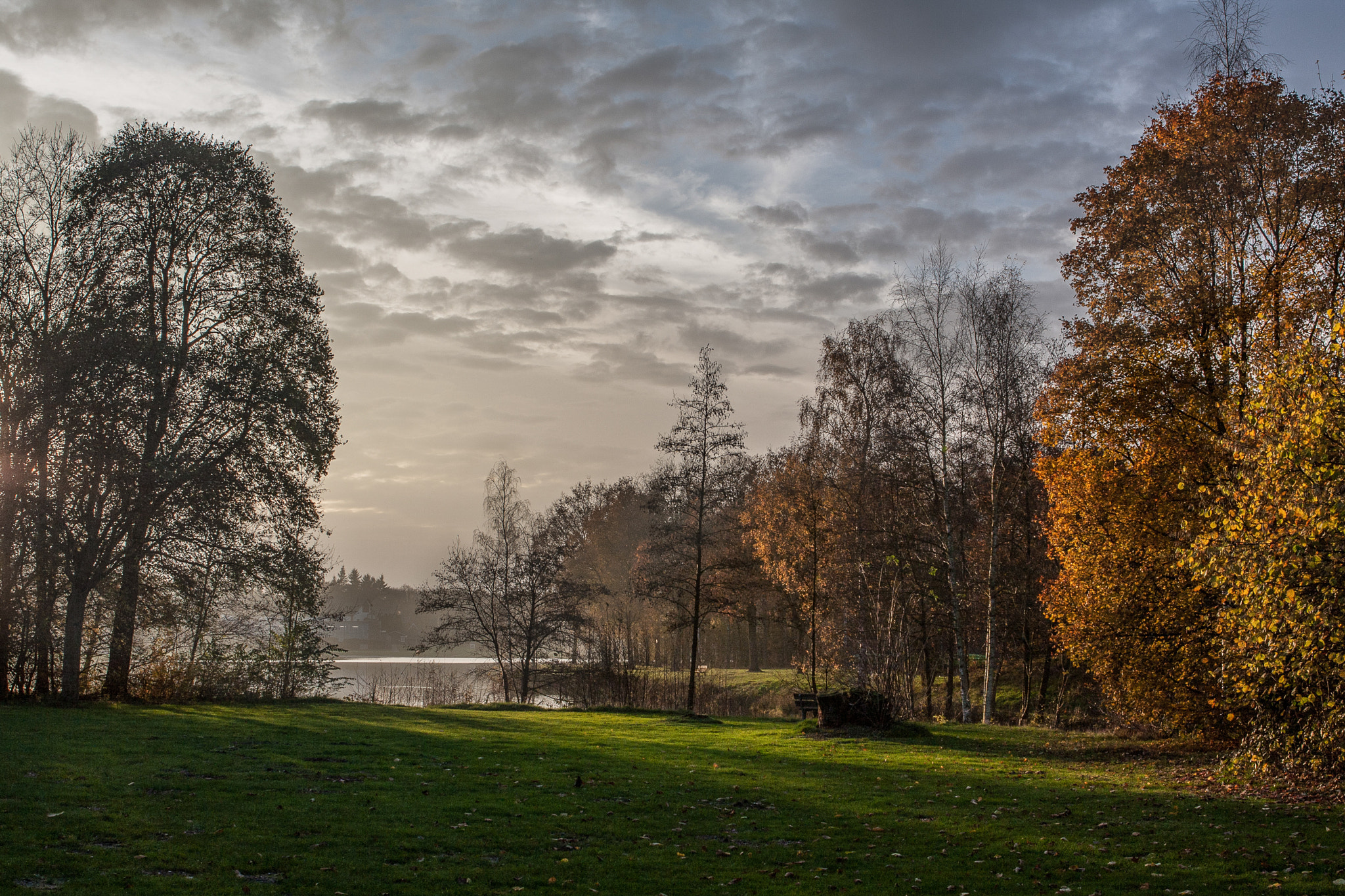 Canon EOS 40D + Canon EF 24-70mm F2.8L USM sample photo. Autumn light photography