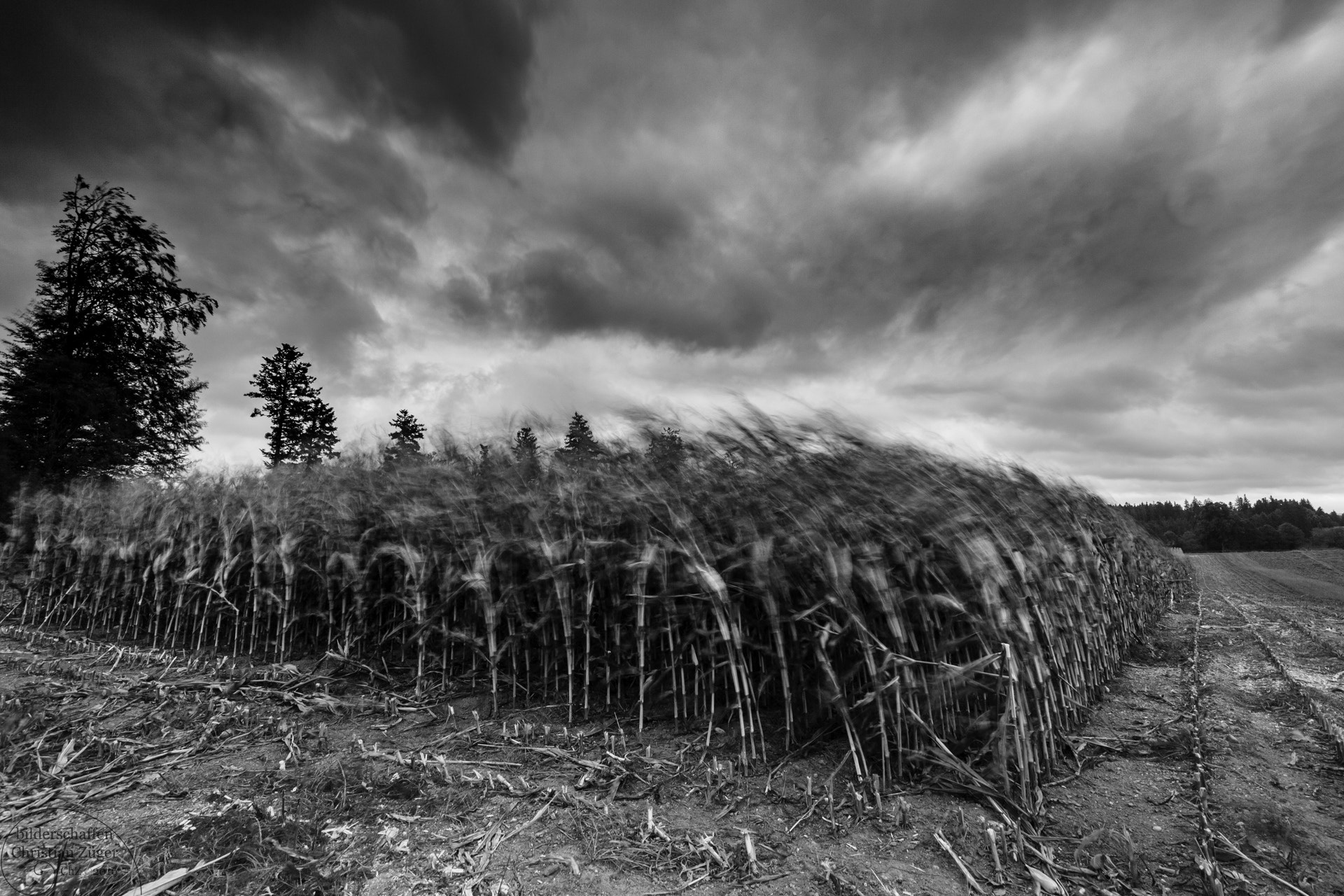 Canon EOS 5D Mark II + Canon EF 16-35mm F4L IS USM sample photo. Stormy field photography