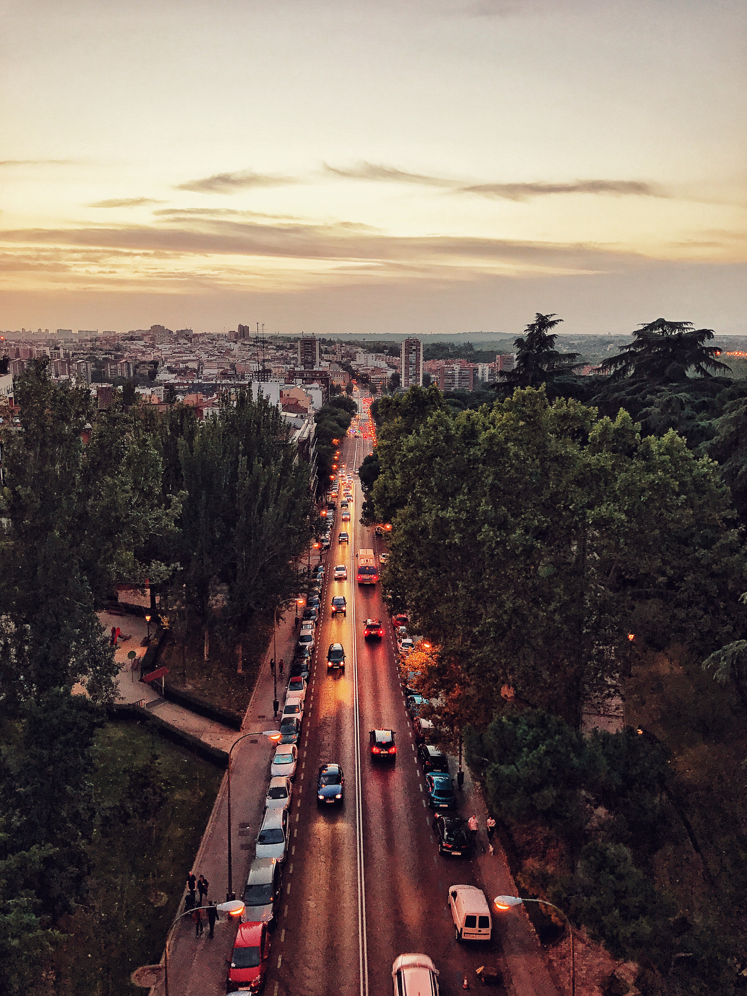 Apple iPhone9,4 sample photo. Bridge suicedes - madrid photography