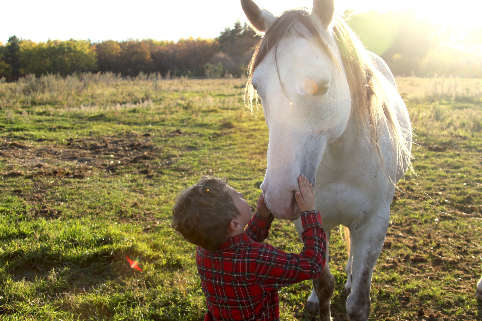 Canon EF 28-105mm f/3.5-4.5 USM sample photo. Neverland photography