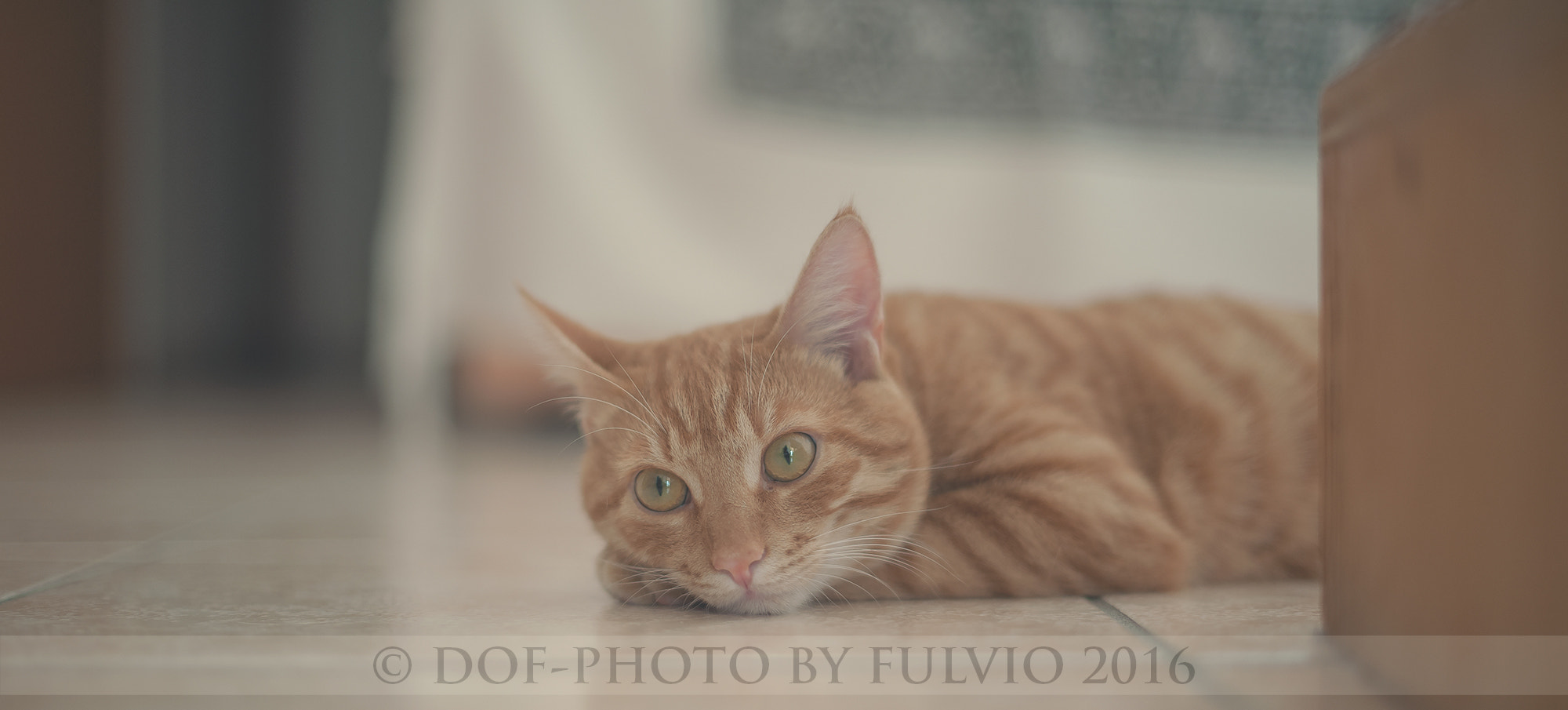 Nikon D3 sample photo. Resting photography