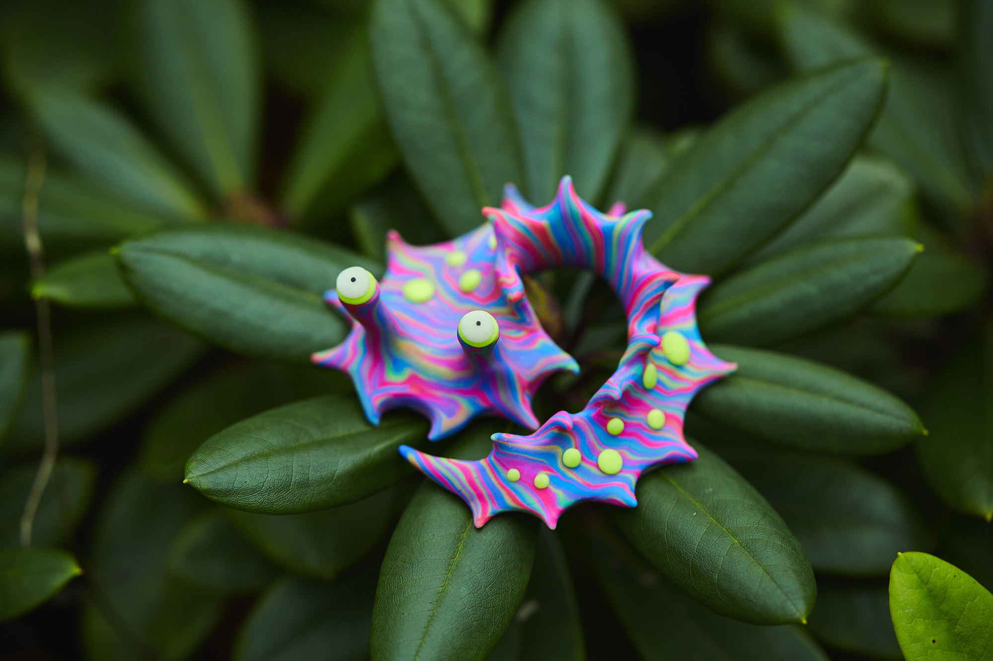 Canon EF 100mm F2.8L Macro IS USM sample photo. Img photography