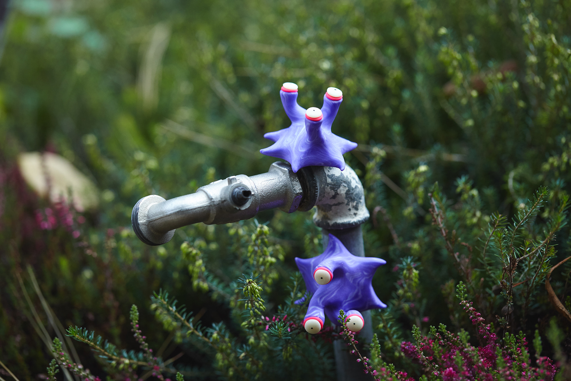 Canon EF 100mm F2.8L Macro IS USM sample photo. Img photography