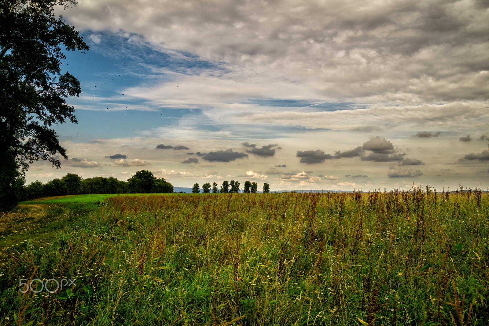 Sony SLT-A58 sample photo. Autumn is coming photography