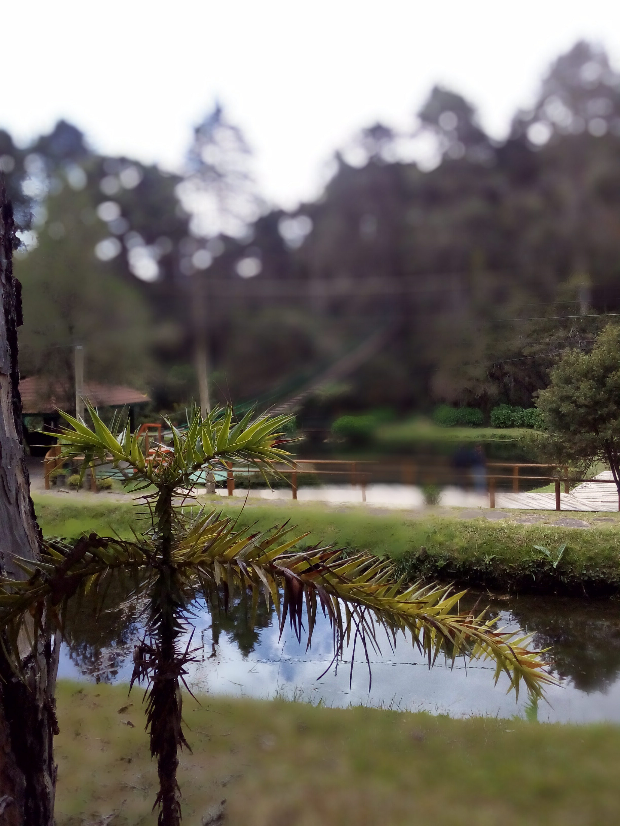 ASUS Zenfone Go (ASUS_Z00VD) sample photo