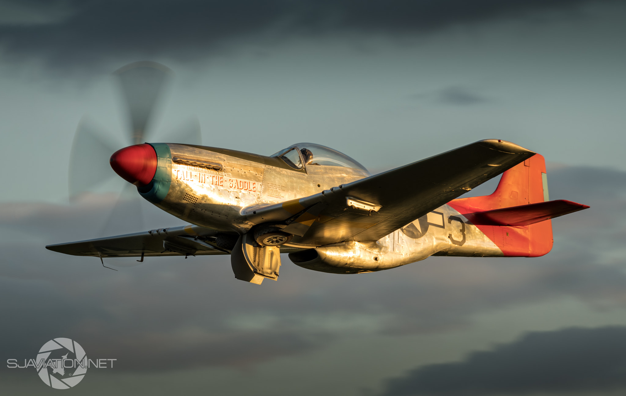 Nikon AF-S Nikkor 300mm F2.8G ED-IF VR sample photo. "evening glow " photography