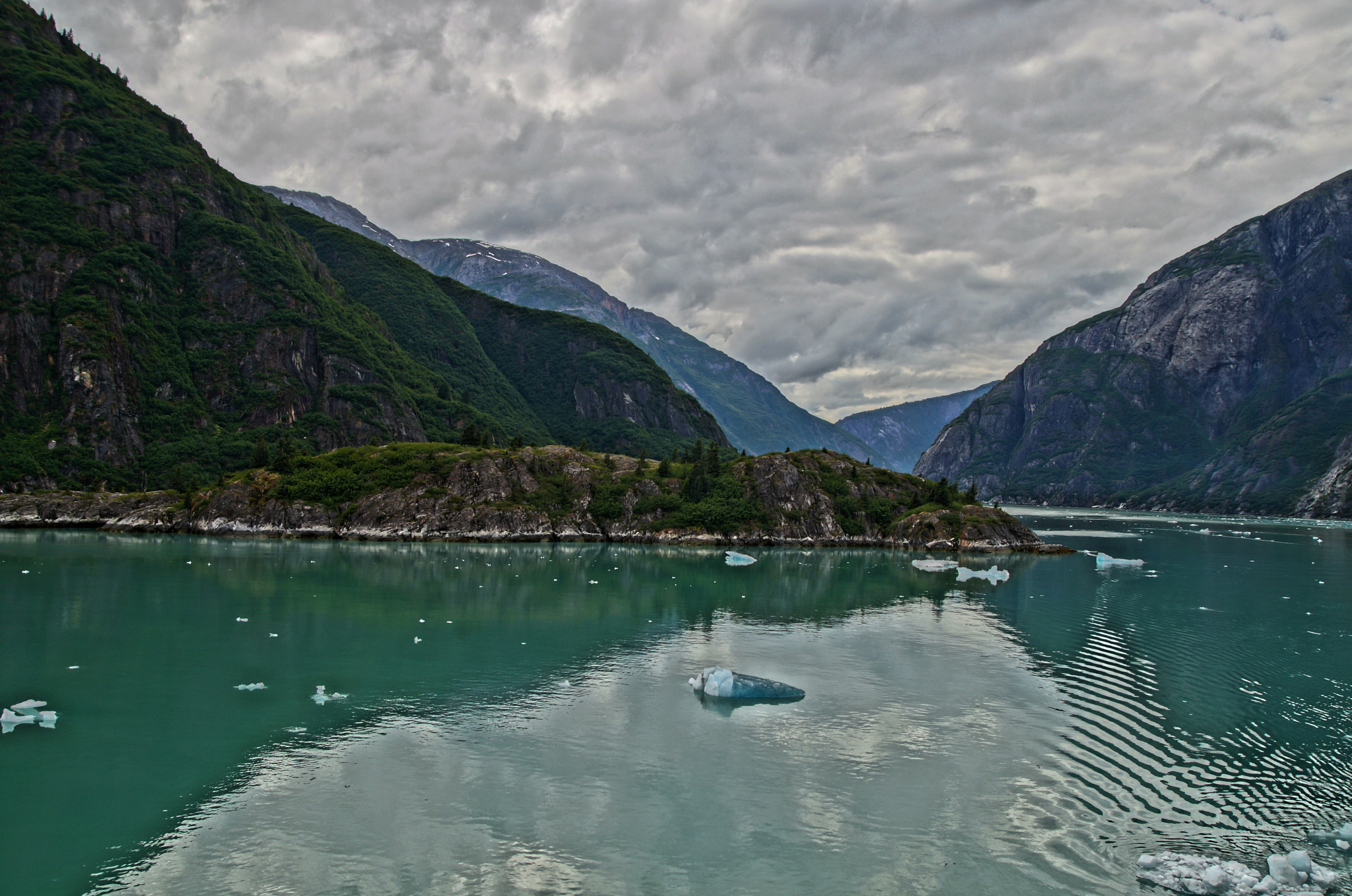 Sony SLT-A57 sample photo. Tracy arm photography