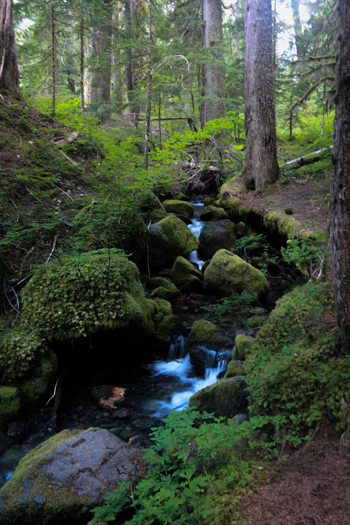 Canon EF-S 18-55mm F3.5-5.6 II sample photo. Peaceful stream photography