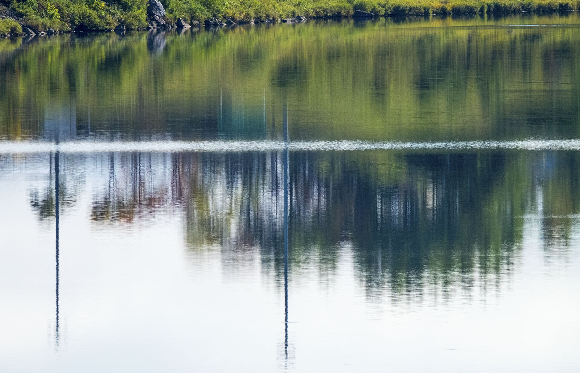 Fujifilm XF 100-400mm F4.5-5.6 R LM OIS WR sample photo. Reflections! photography