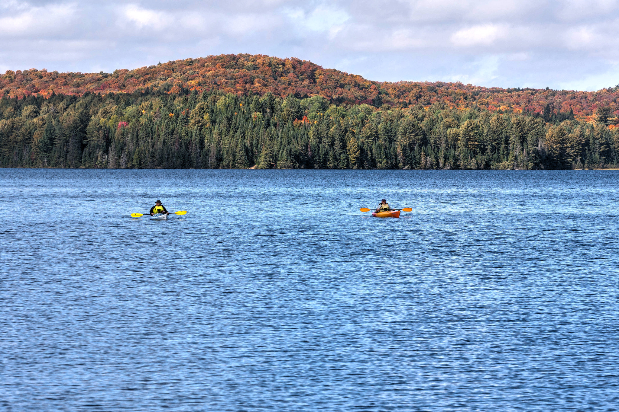 Canon EOS-1D Mark III sample photo. Fall fun photography