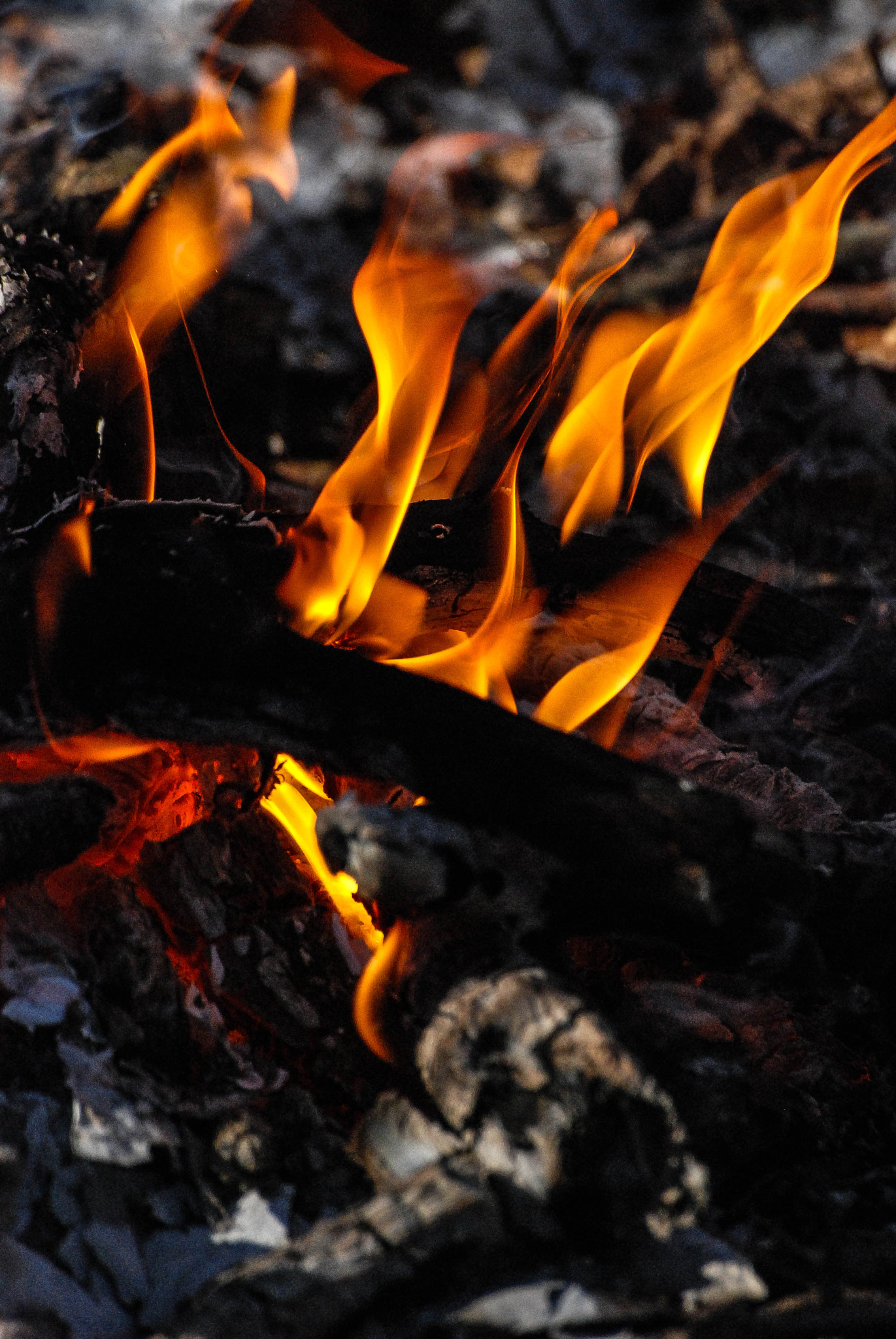 Nikon D80 sample photo. R photography