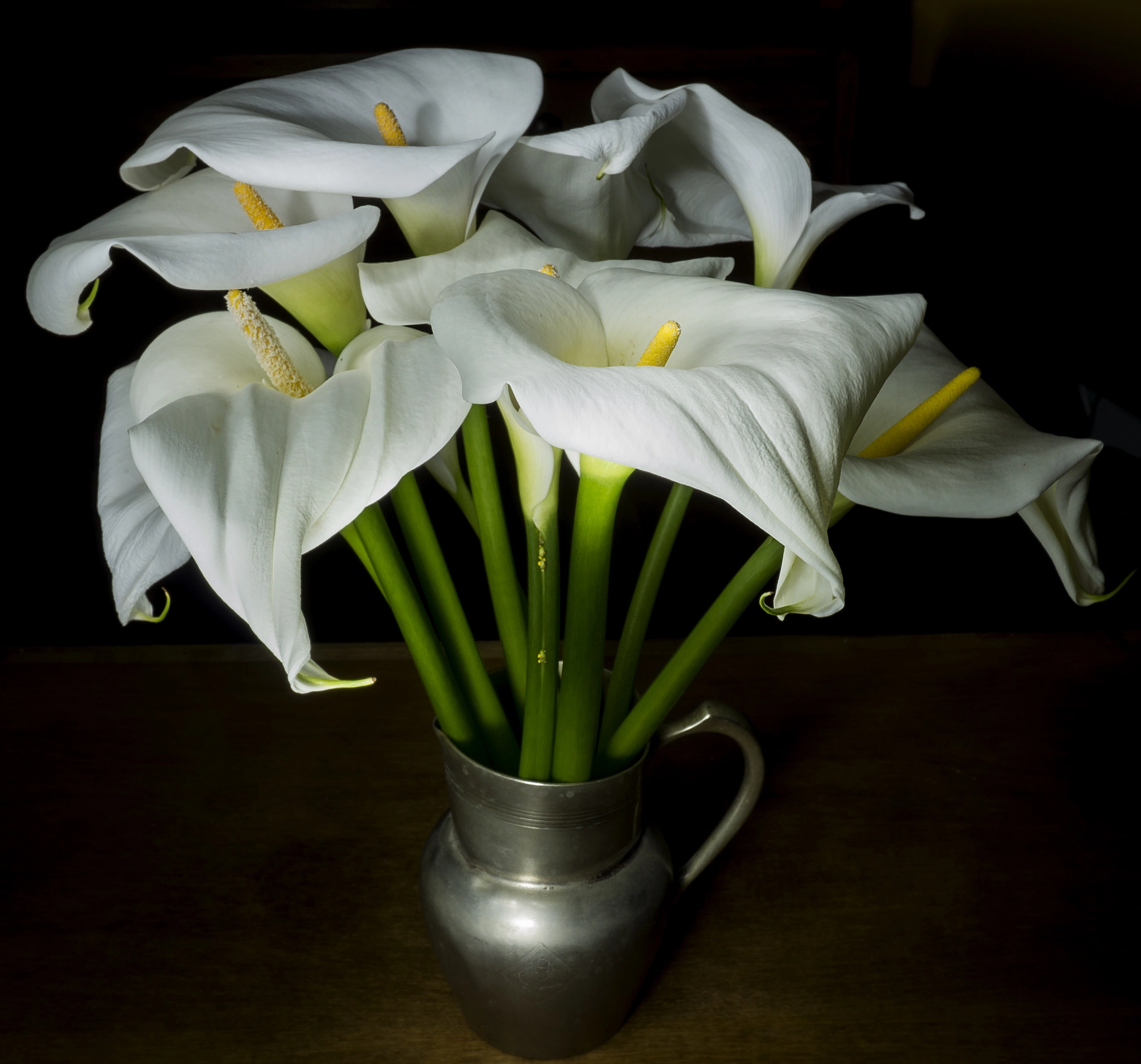 Sony Alpha NEX-5N sample photo. Calas photography