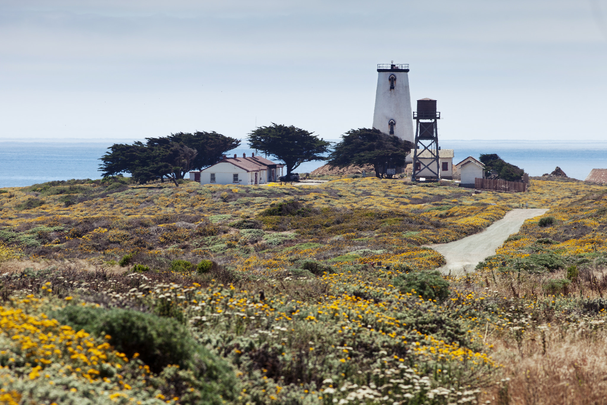 Canon EF 200mm F2.8L II USM sample photo. Usa photography
