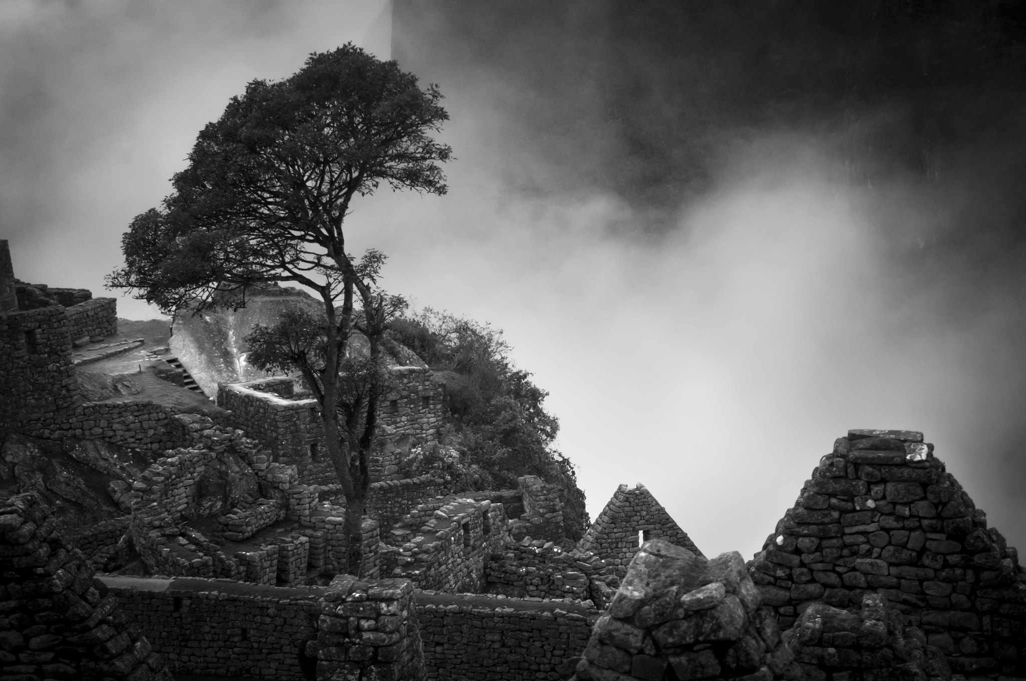 Nikon D300 sample photo. Machupicchu_bw photography