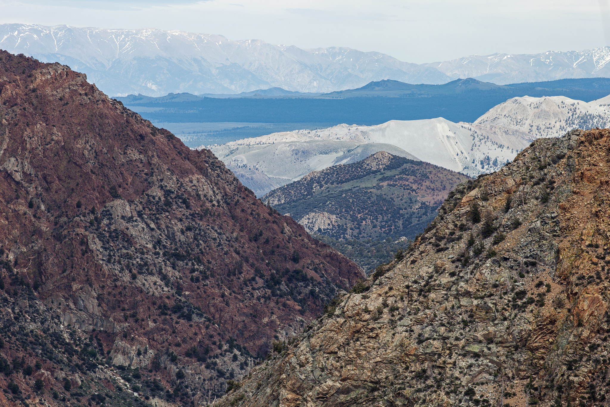 Canon EF 200mm F2.8L II USM sample photo. Usa photography
