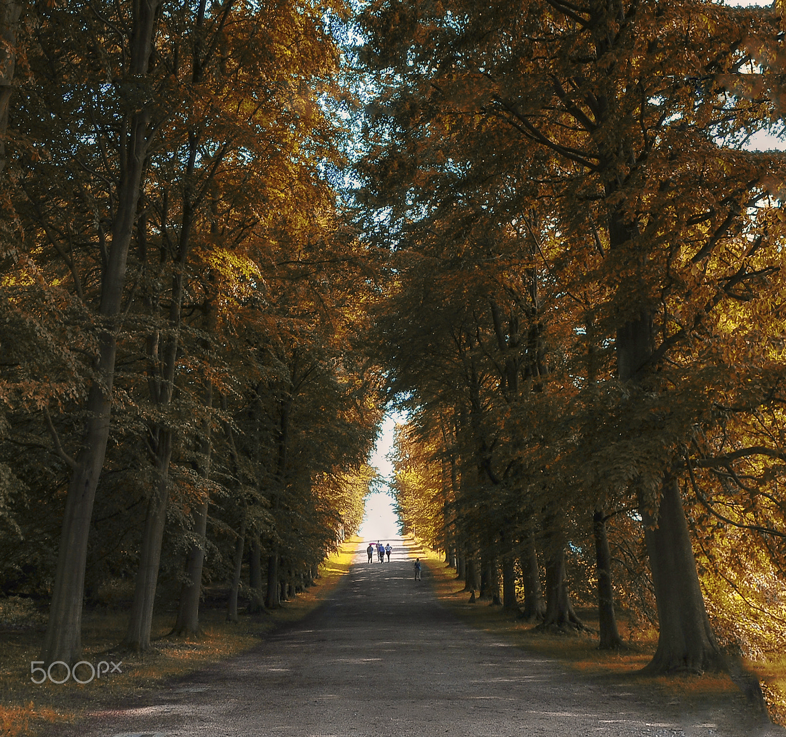 Nikon D300 sample photo. Autumn photography
