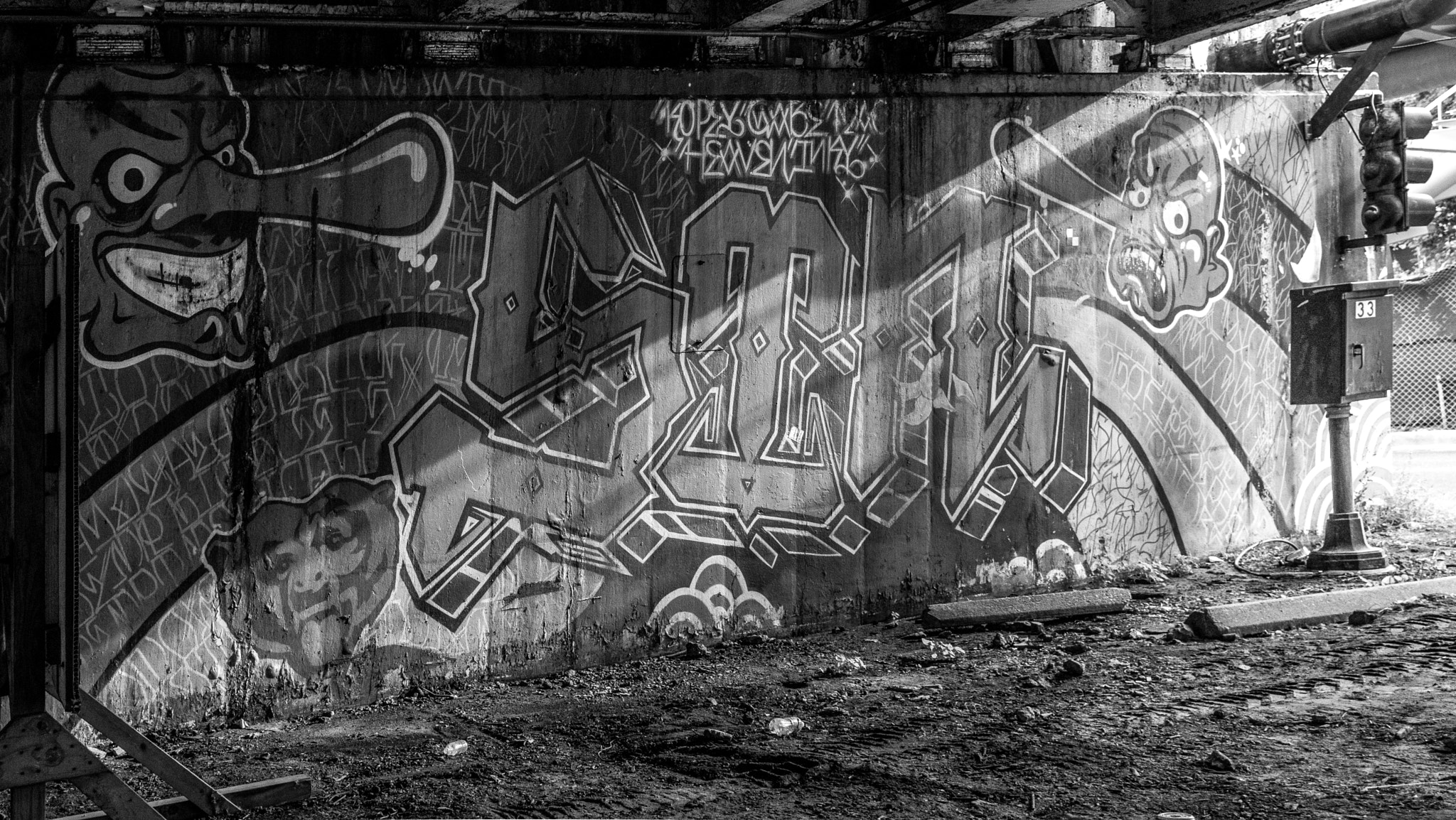 Nikon AF-S Nikkor 24-120mm F4G ED VR sample photo. Street art photography