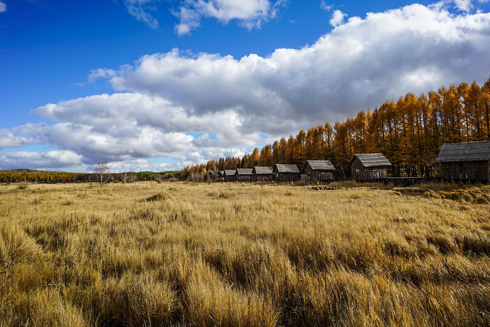 Sony a7S II + E 21mm F2.8 sample photo