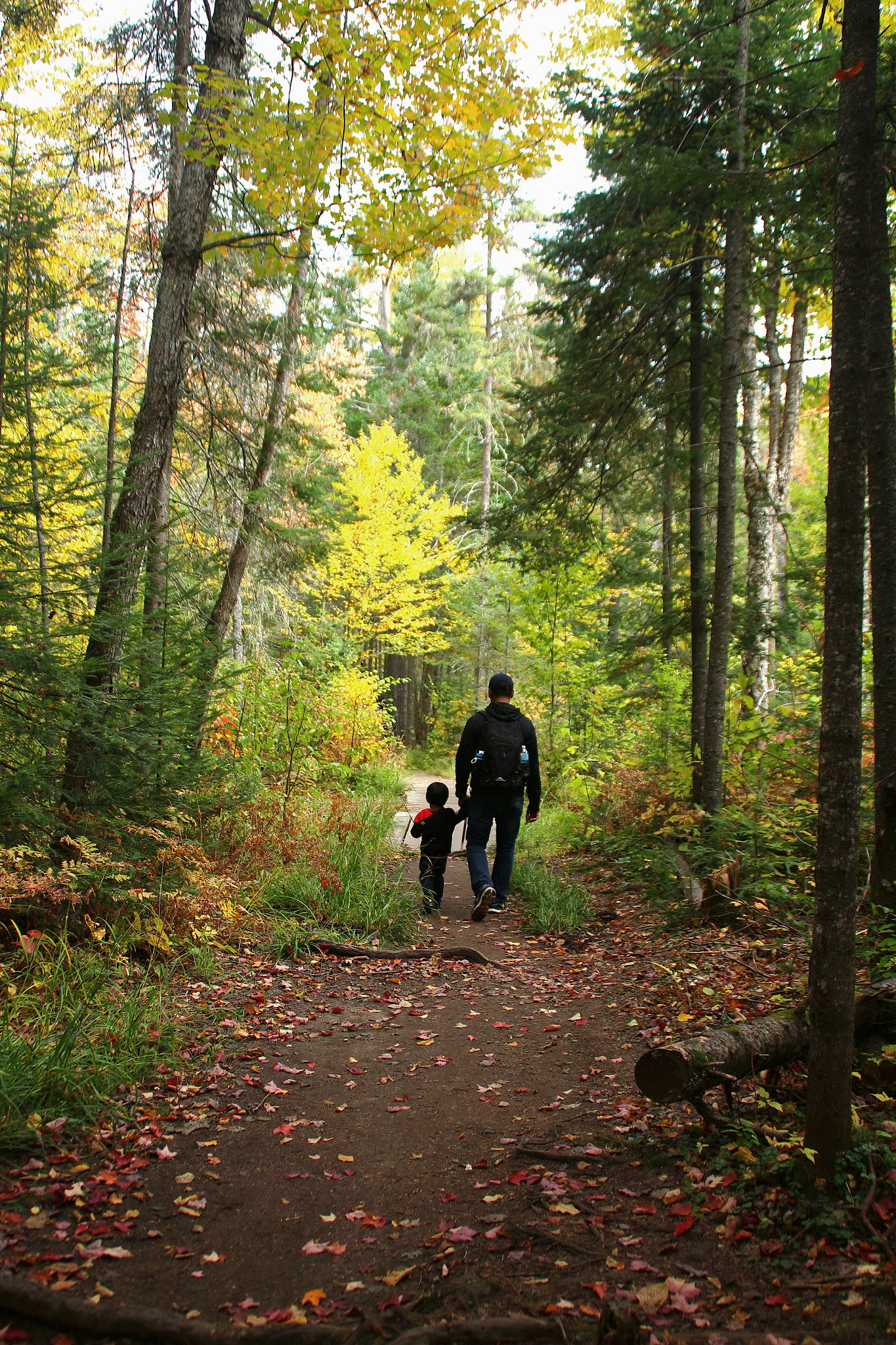 Canon EOS 650D (EOS Rebel T4i / EOS Kiss X6i) sample photo. Father and son photography