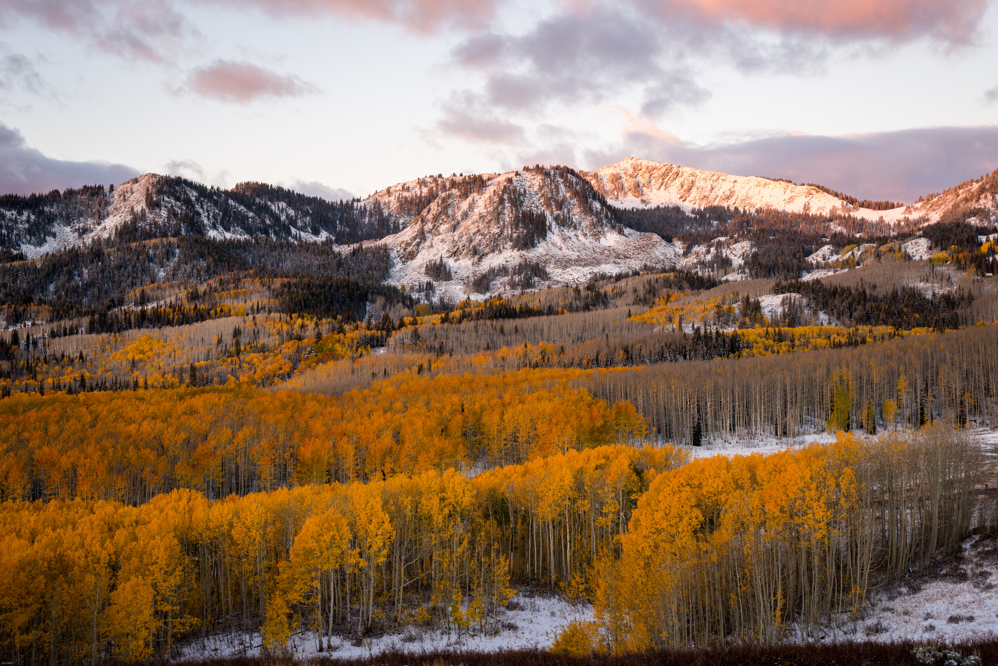 Nikon D800E + Nikon AF-S Nikkor 50mm F1.8G sample photo. Guardsmans pass photography